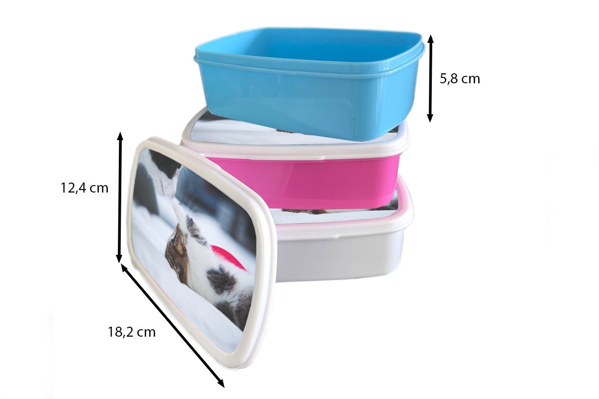 Lunchbox Kunststoff, Snackbox, für Brotdose Bettlaken, - Brotbox (2-tlg), - Erwachsene, Mädchen, rosa Kunststoff MuchoWow Kinder, Kätzchen Katze