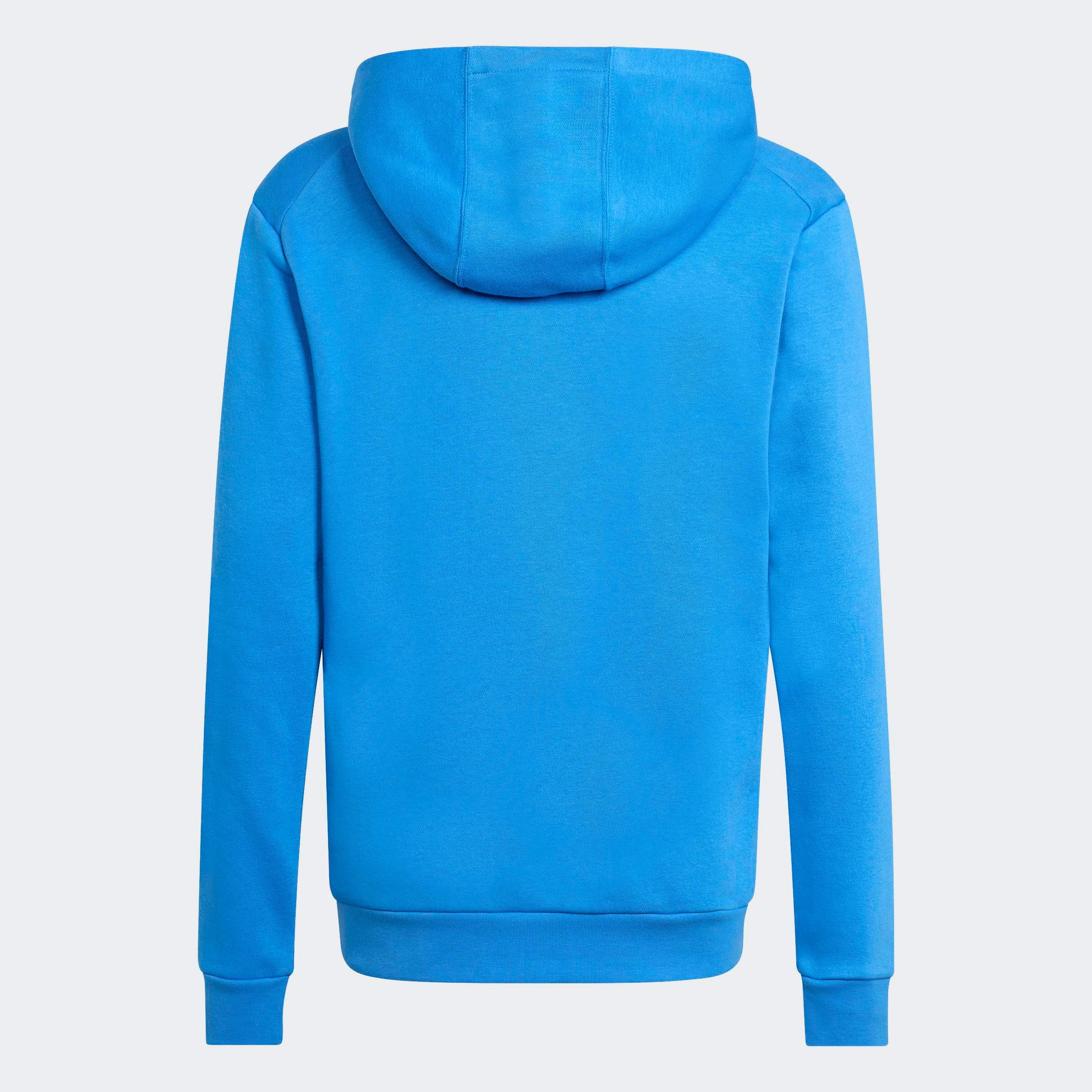 adidas TERREX Kapuzensweatshirt K MT LOGO HD