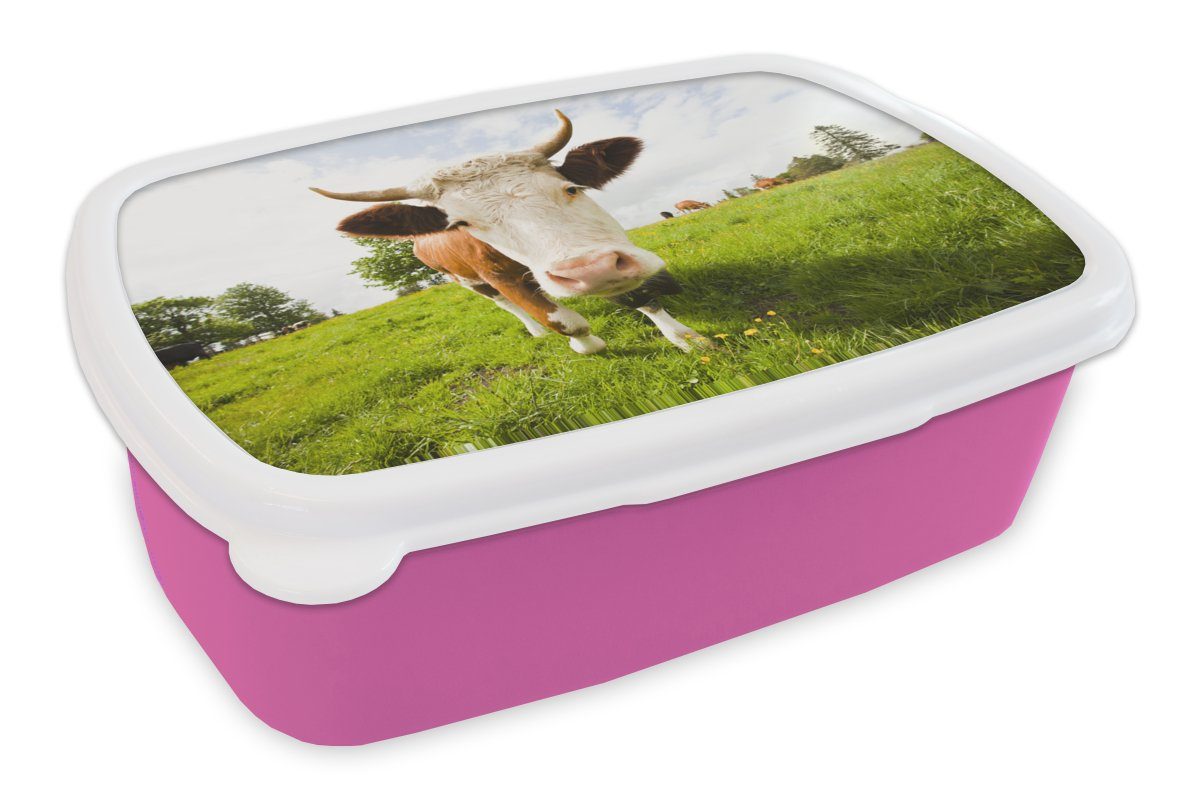 - (2-tlg), rosa Licht Kuh - MuchoWow Snackbox, für Mädchen, Brotdose Lunchbox Kunststoff Brotbox Erwachsene, Kunststoff, Schatten, Kinder,