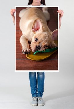 Sinus Art Poster 60x90cm Poster Tierfotografie  Süße Französische Bulldogge mit Flip Flop