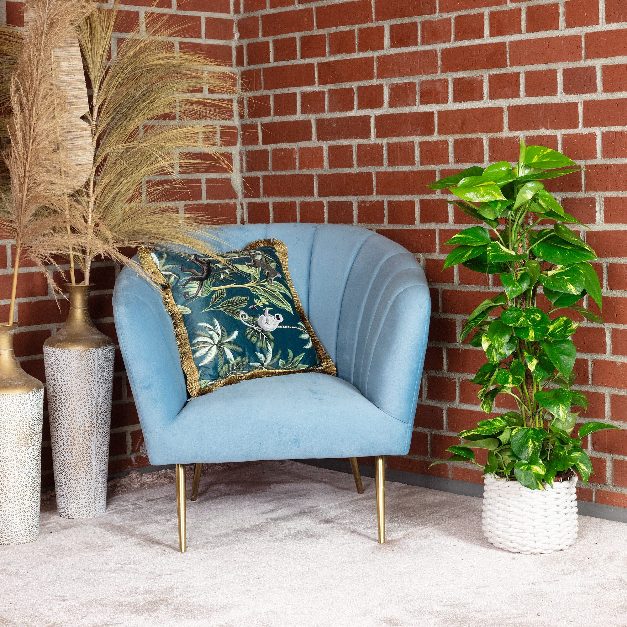 Flowerbox Zimmerpflanze Efeutute am Moosstab - Epipremnum aureum, pflegeleicht - Höhe ca. 80 cm, Topf-Ø 19 cm