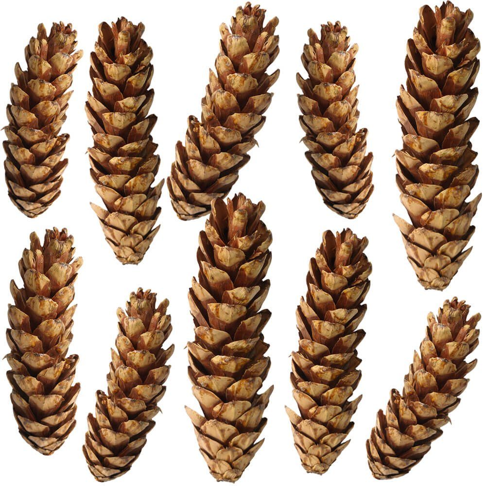 matches21 HOME & HOBBY Bastelnaturmaterial Große Tannen-Zapfen Streudeko weiß 10er Set in 10 - 15 cm, (10-tlg), Weihnachten Deko-Zapfen zum Basteln und Weihnachtsbaum-Schmuck