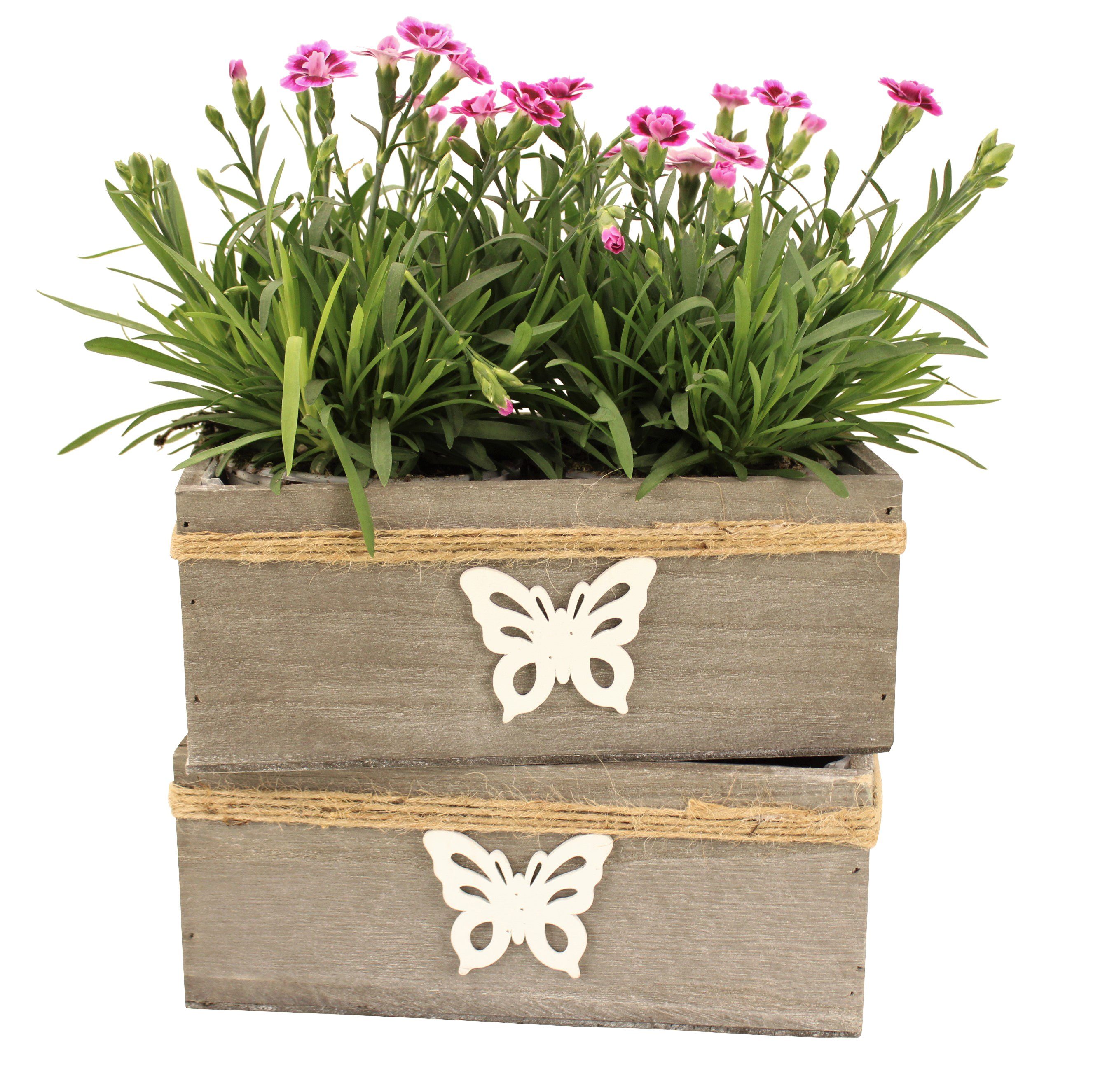 Online-Fuchs Blumentopf 2er Set Blumenschalen aus günstig online kaufen