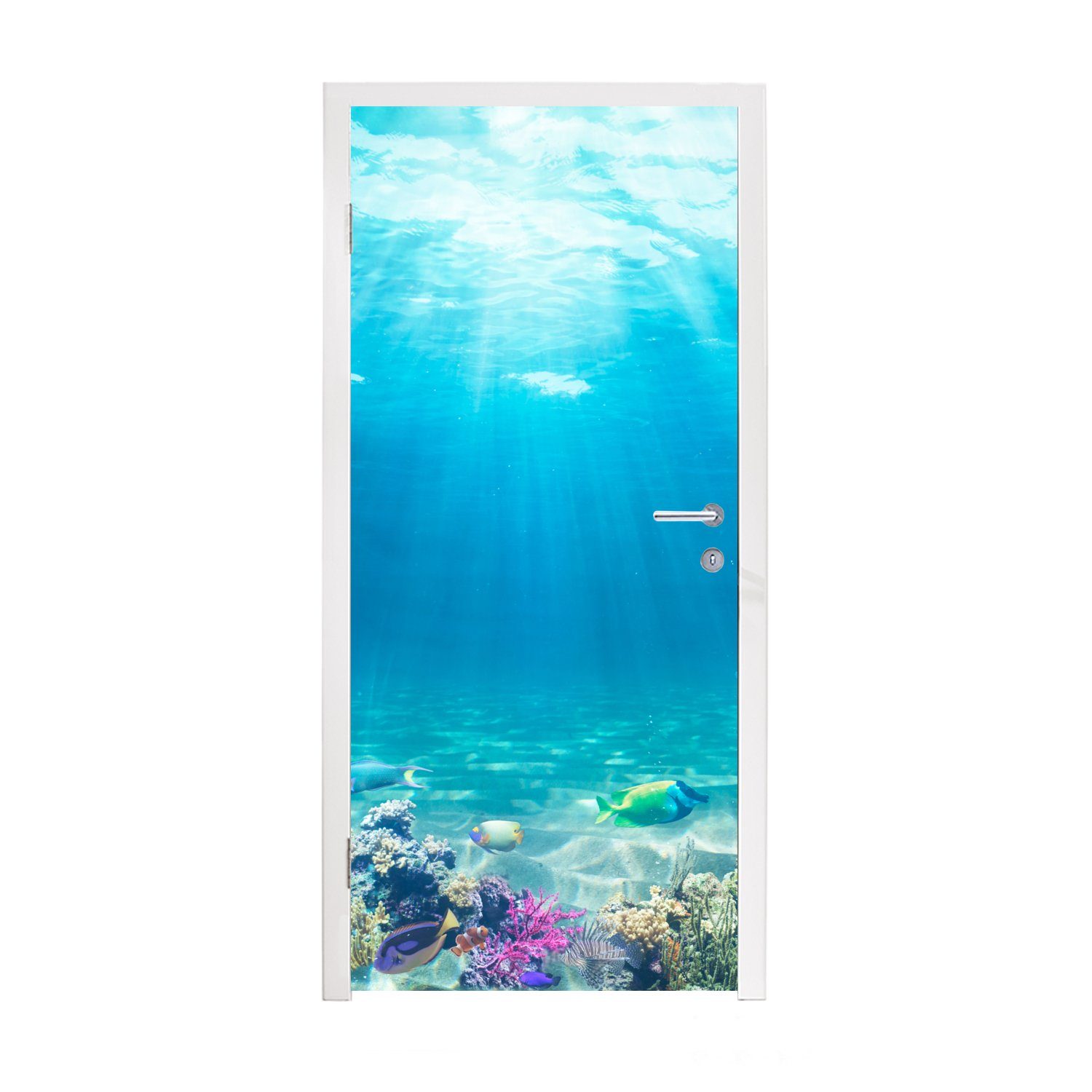 Blau, bedruckt, Korallen - - für cm St), Meerestiere (1 Wasser 75x205 MuchoWow Matt, - Türaufkleber, Tür, Fototapete Unterwasserwelt - Türtapete