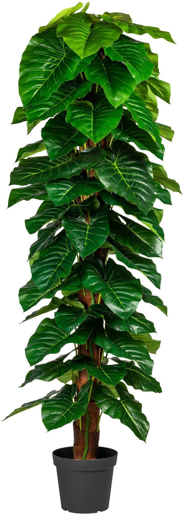 [Qualität zuerst] Kunstpflanze Lovisa Anthuriumpflanze, andas, Höhe Topf cm, 190 im