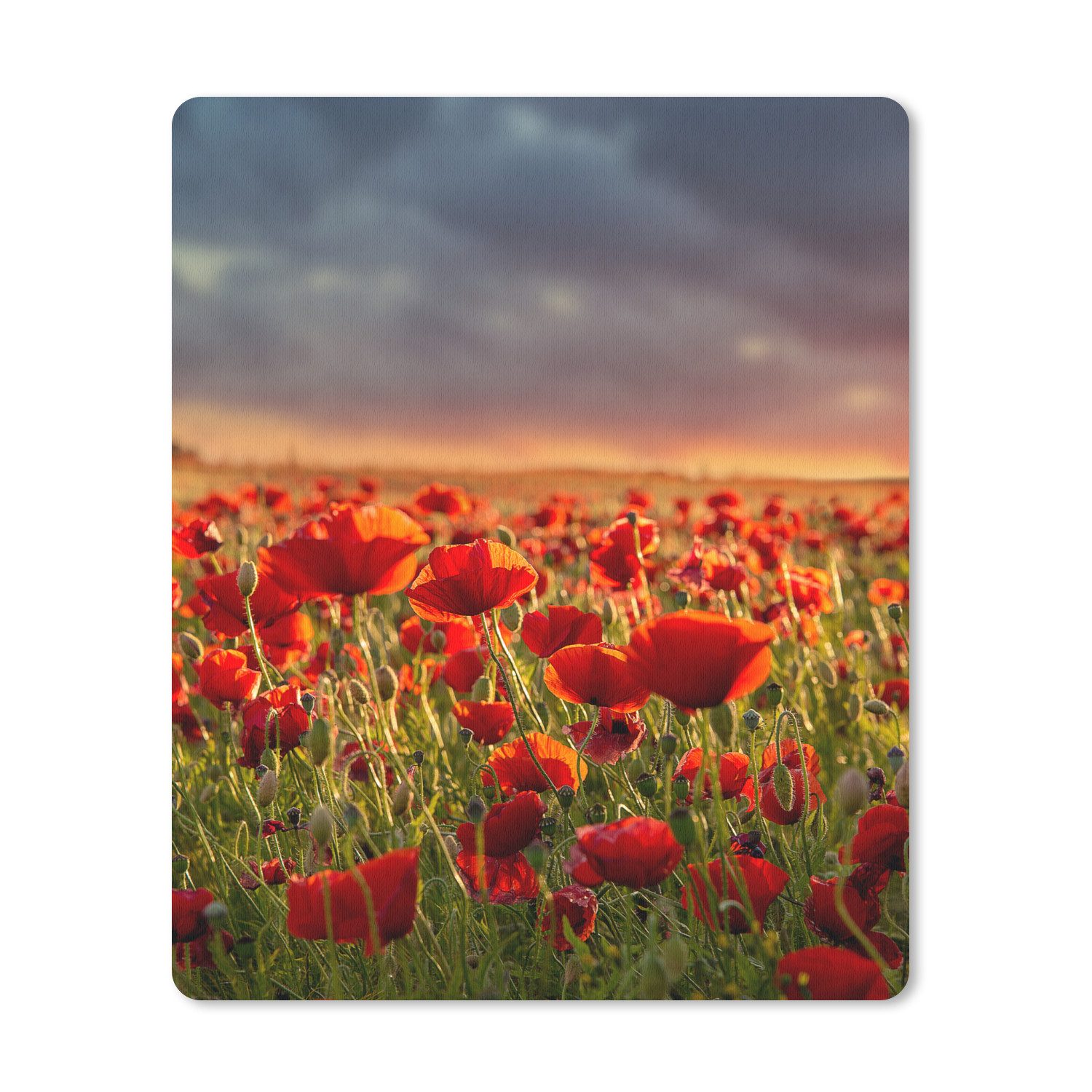 MuchoWow Mauspad Sonnenuntergang - Mohnblumen - Rot - Blumen - Feld - Natur (1-St), Gaming, Mousepad Klein, Büro Zubehör, Mausunterlage, 19x23 cm