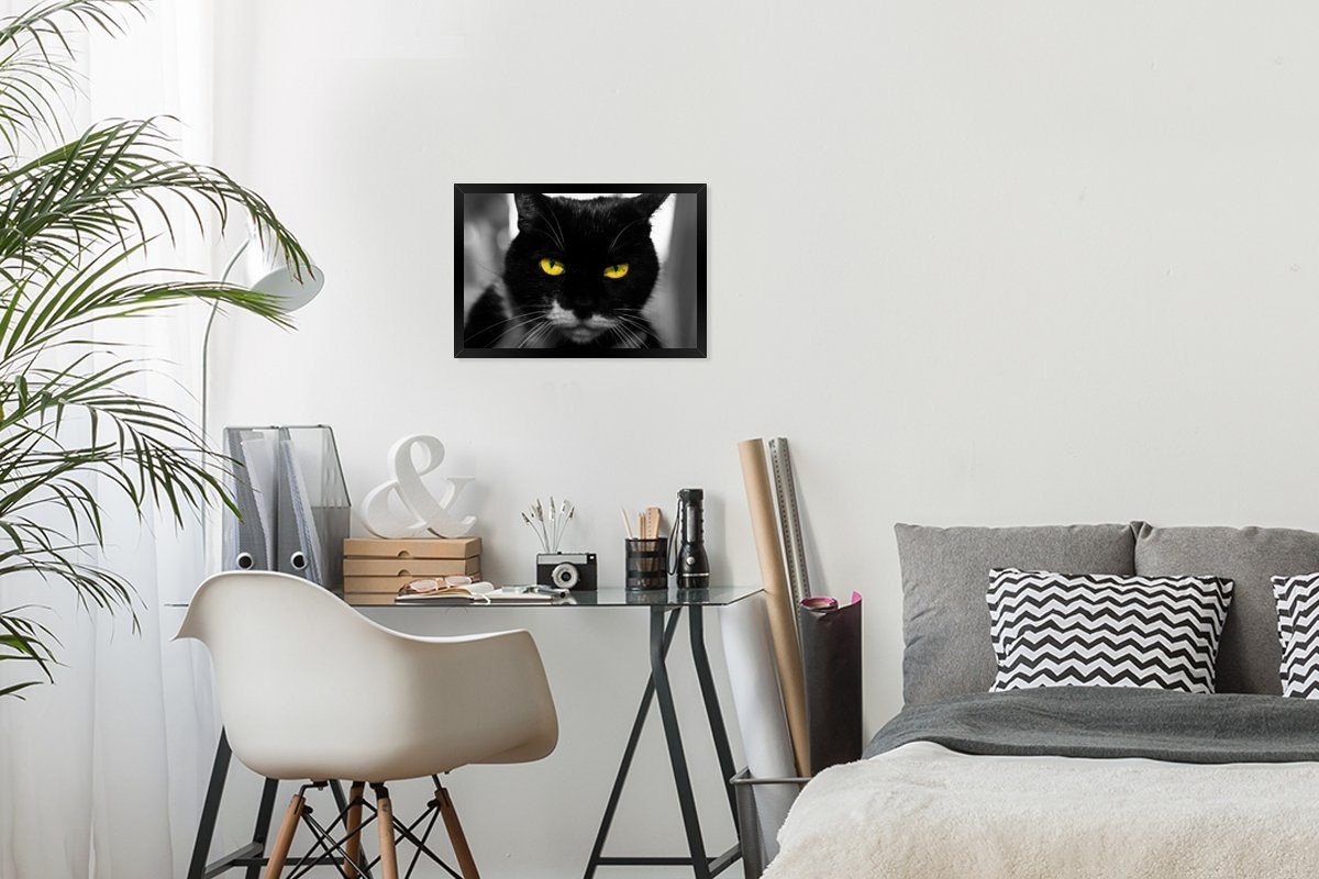 Bilderrahmen Bilder, Augen, mit (1 Kopfes gelben Gerahmtes einer Poster Wandposter, des MuchoWow Wanddeko, St), Schwarzem Katze schwarzen Poster, Schwarz-Weiß-Foto