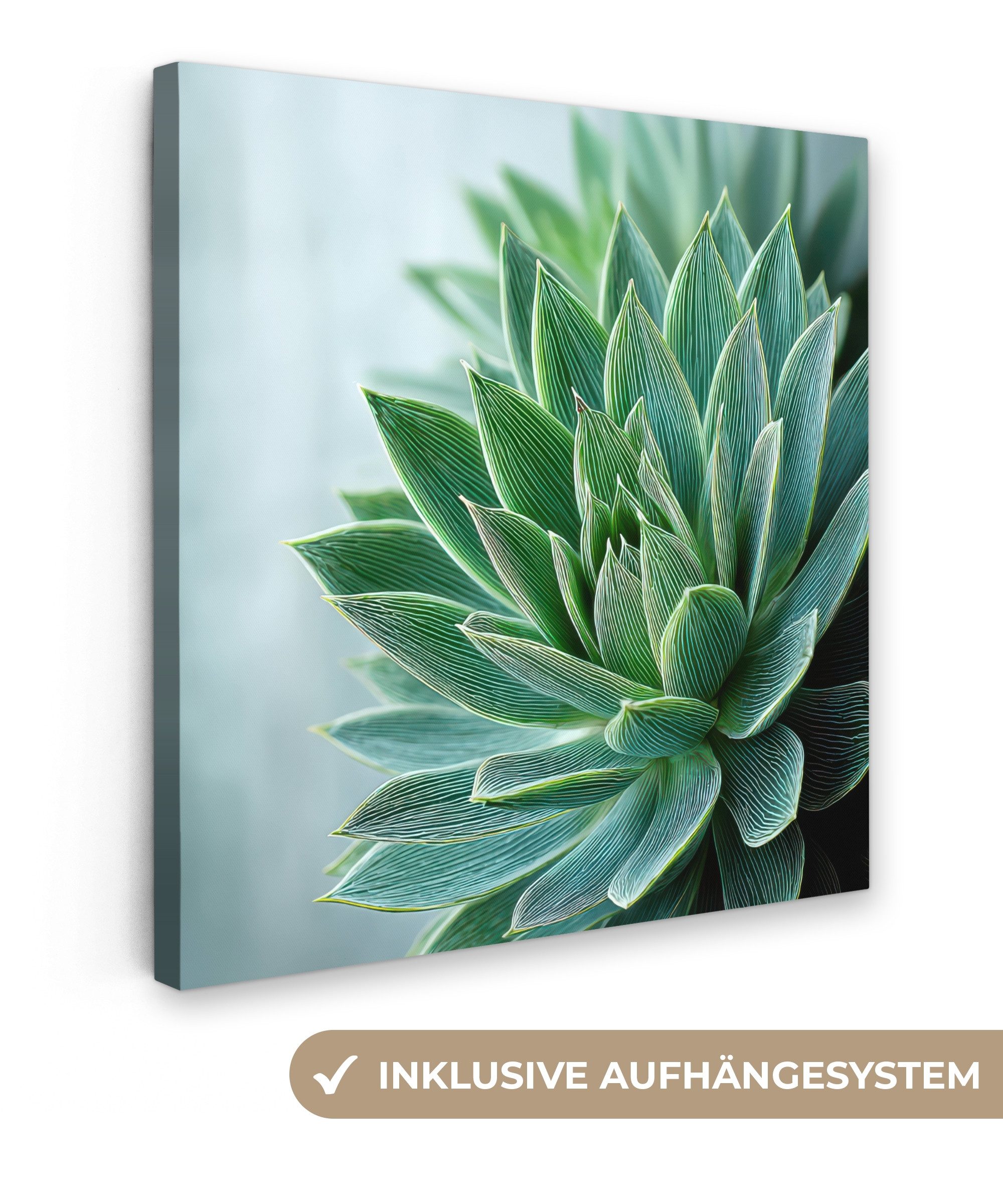 OneMillionCanvasses® Leinwandbild Sukkulente - Blätter - Grün - Unscharf, Fotodruck (1 St), Wandbild, Deko Schlafzimmer Wohnzimmer Flur 20x20 cm