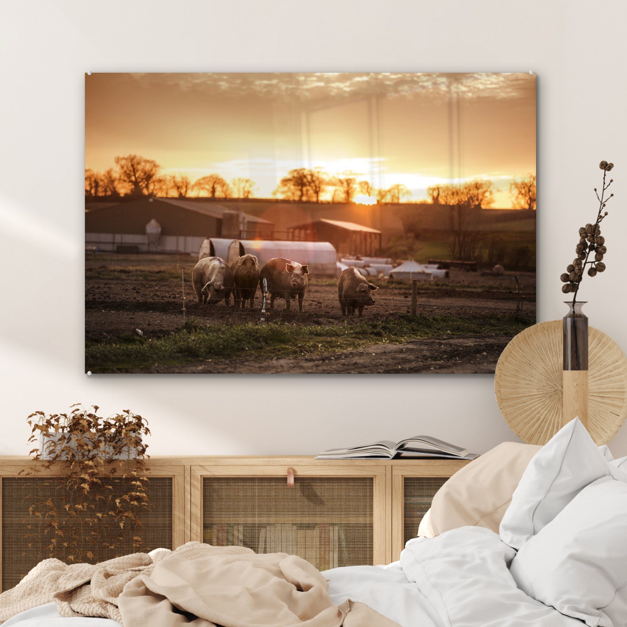 (1 MuchoWow - Schlafzimmer Acrylglasbild Sonne Bauernhof & - Schwein, Acrylglasbilder St), Wohnzimmer