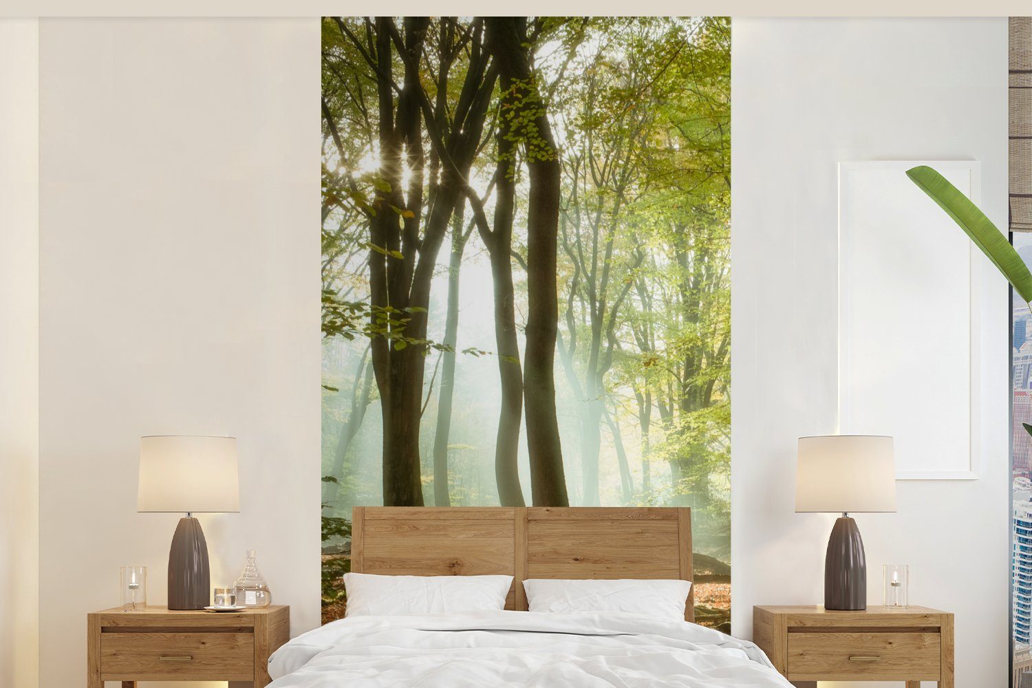 MuchoWow Fototapete Wald - Sonne - Jahreszeiten - Landschaft, Matt, bedruckt, (2 St), Vliestapete für Wohnzimmer Schlafzimmer Küche, Fototapete
