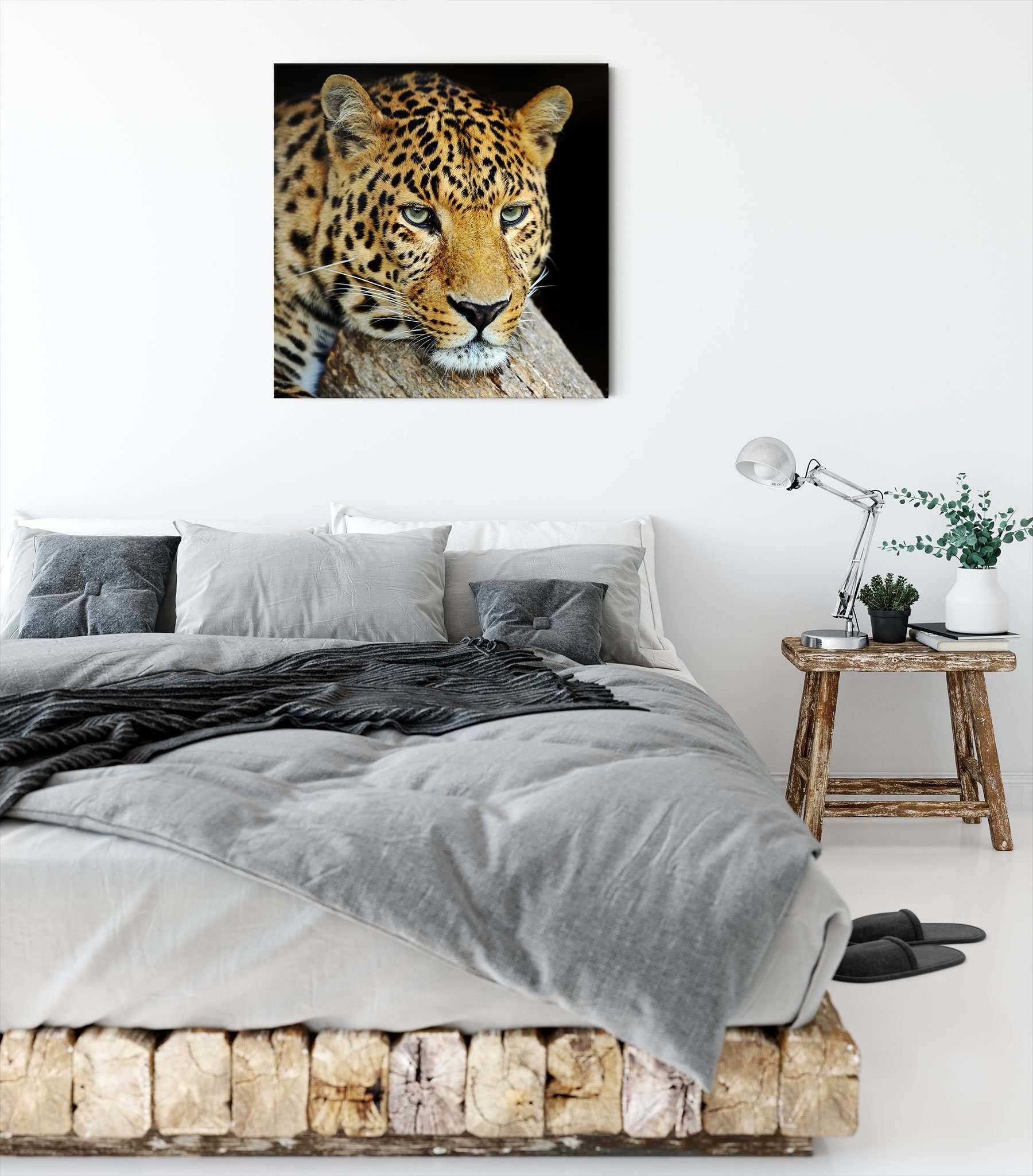 Pixxprint Leinwandbild Ruhiger Leopard, Ruhiger (1 Leinwandbild bespannt, fertig Zackenaufhänger St), Leopard inkl