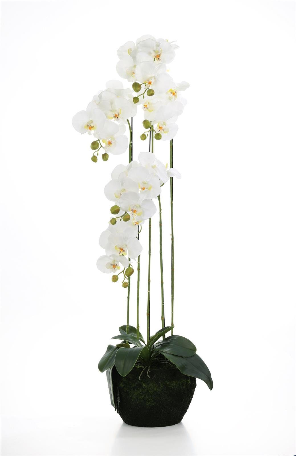 GILDE Dekofigur Gilde Deko Orchidee/53/Moosball Weiss H = 110 cm