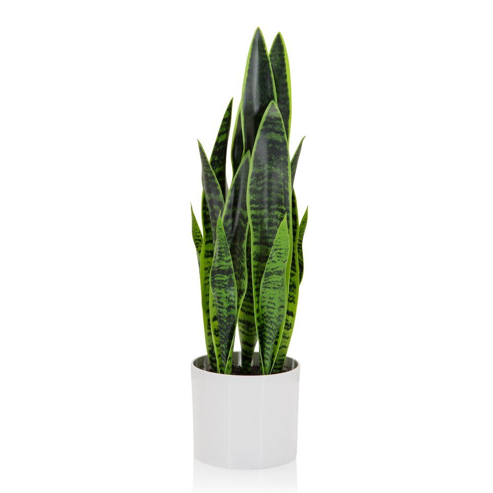 Kunstpflanze Kunstpflanze SANSEVIERIA Kunststoff, Stoff Schlangenpflanze, günstig online kaufen