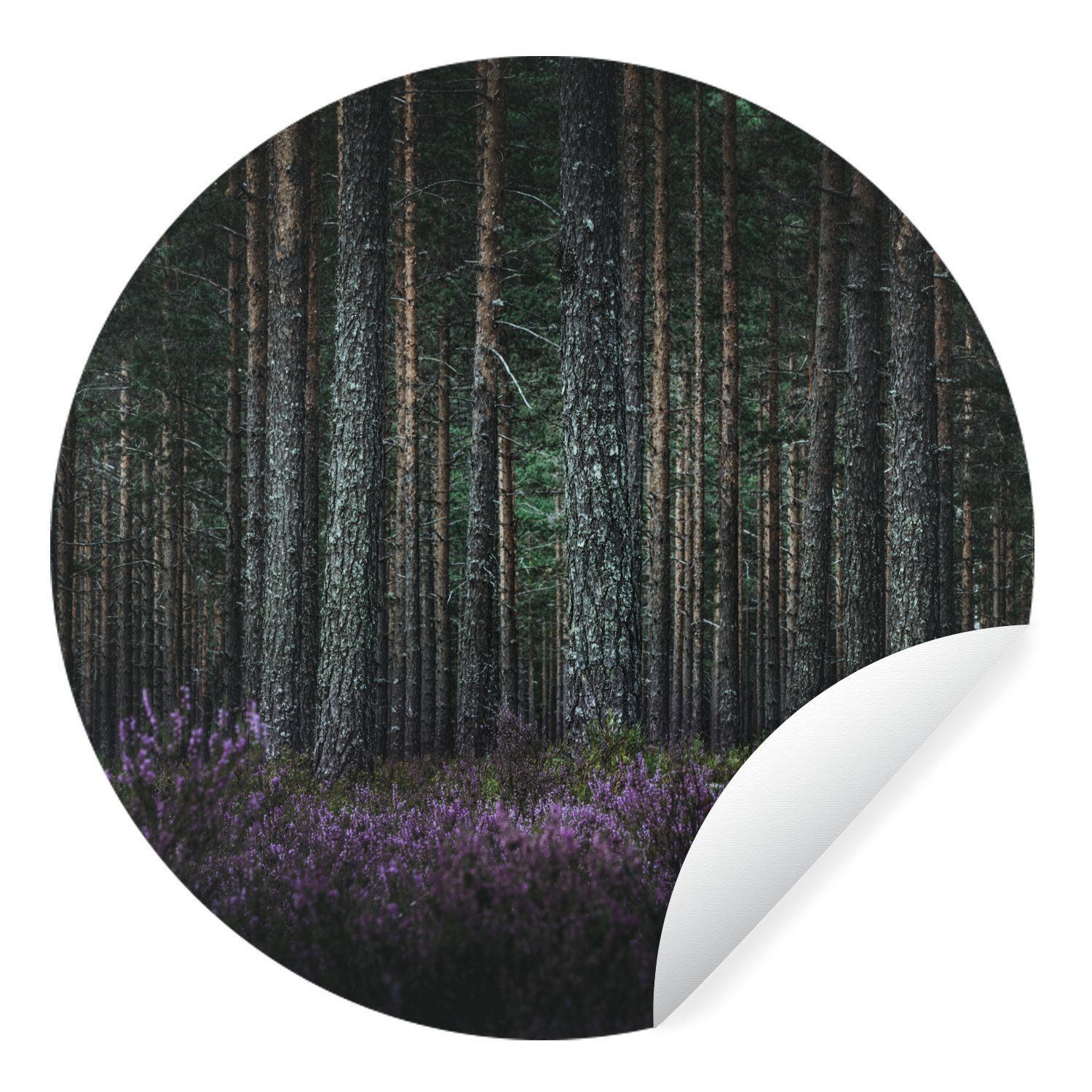 MuchoWow Wandsticker Lavendel im Wald (1 St), Tapetenkreis für Kinderzimmer, Tapetenaufkleber, Rund, Wohnzimmer | Wandtattoos