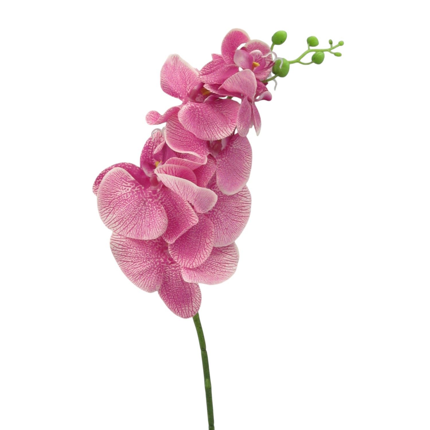 Kunstorchidee Kunstblume Phalaenopsis 86cm. Orchidee, Orchideentrieb., Gasper, Höhe 86.00 cm
