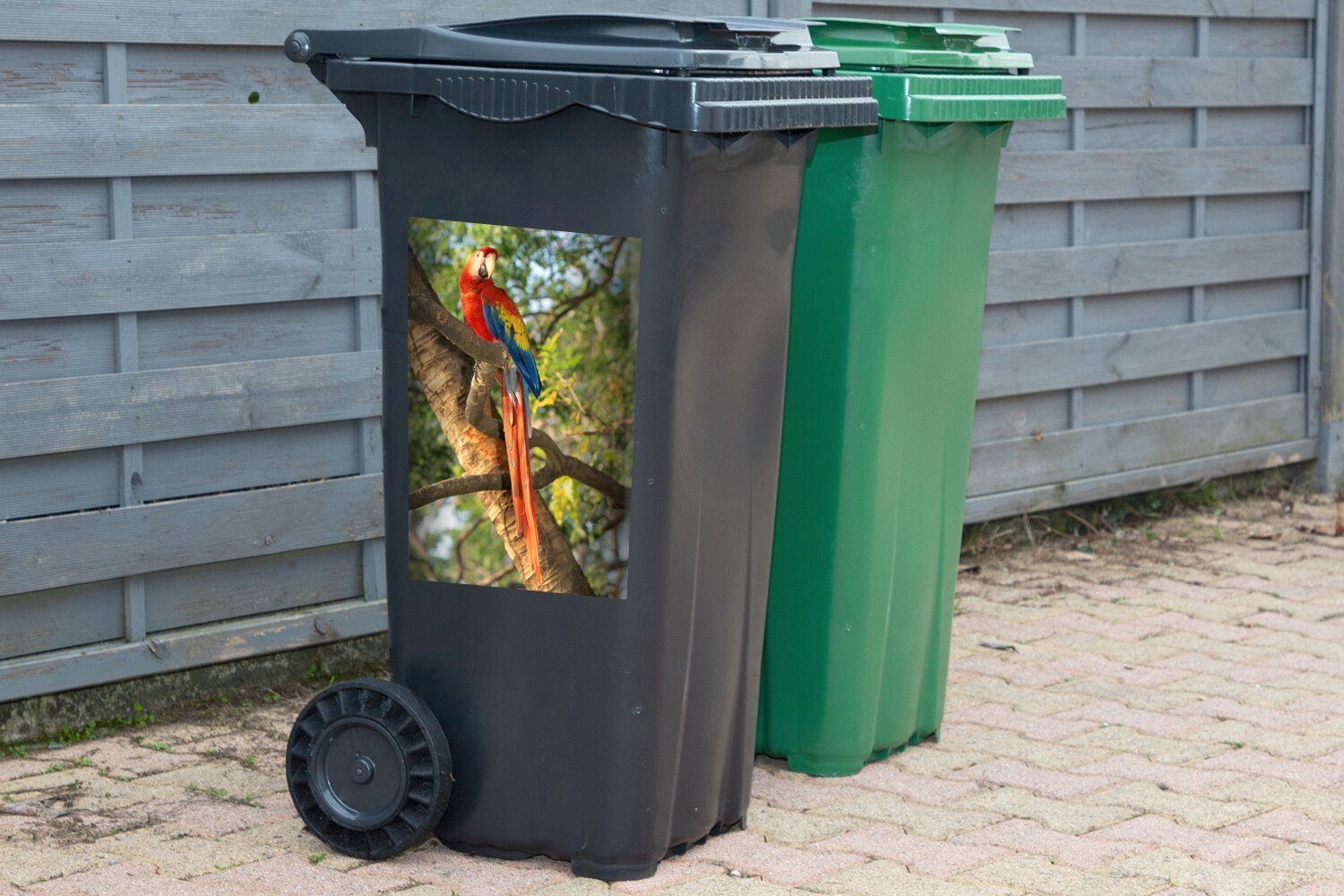 sitzt MuchoWow (1 einem Sticker, Container, auf Mülltonne, Mülleimer-aufkleber, Abfalbehälter Ara Wandsticker St), Baum