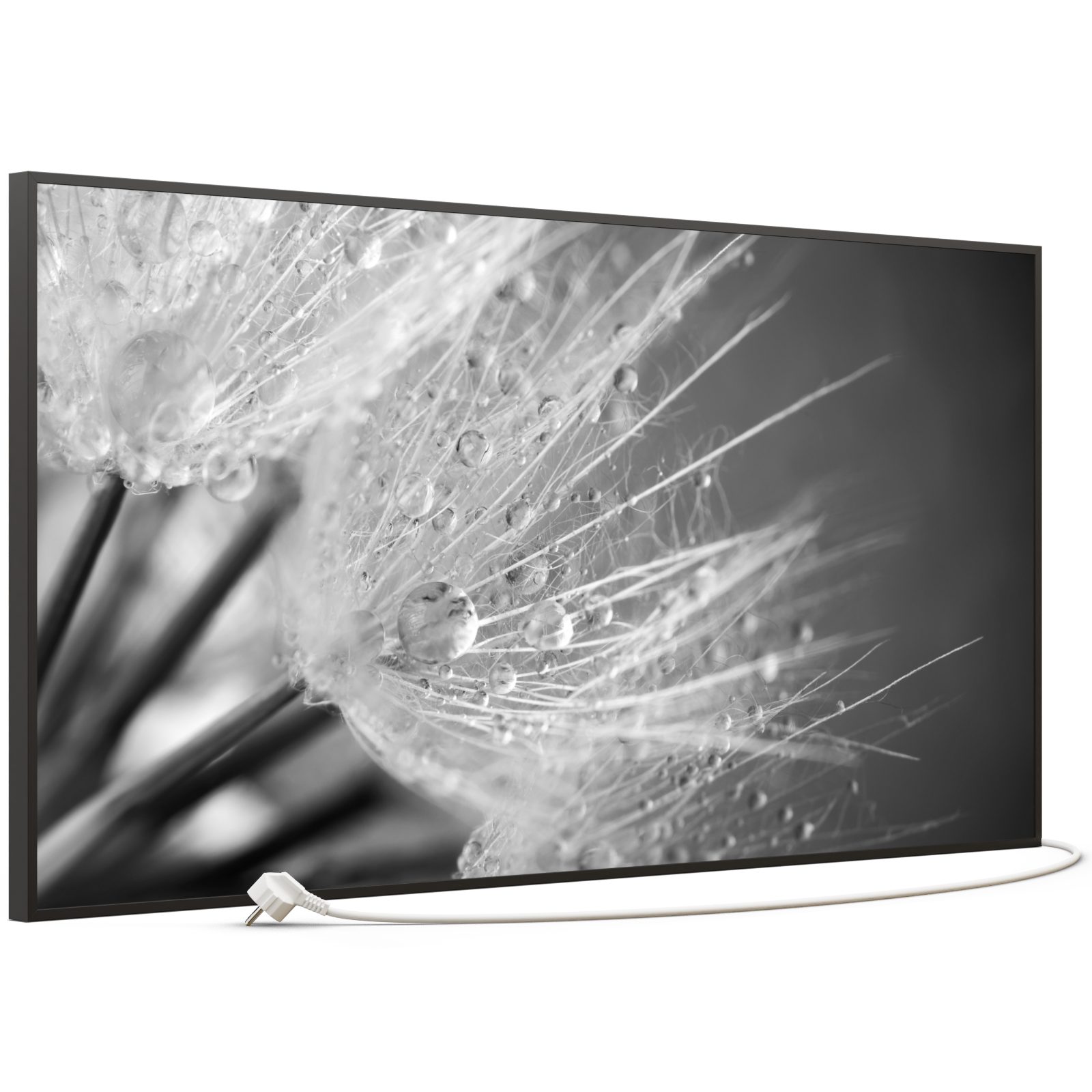 STEINFELD Heizsysteme Infrarotheizung Bild 750W, 120x60cm, Made in Germany, 7J Garantie, mit Thermostat, viele Motive
