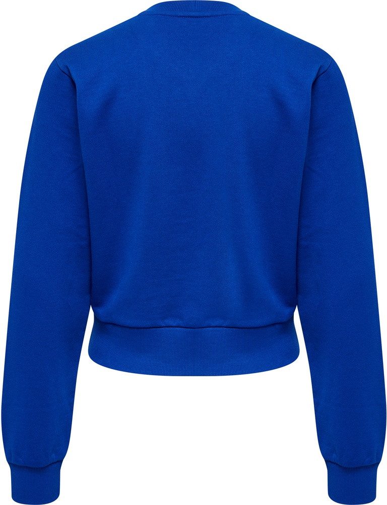 hummel Hoodie Hmllgc Shai Short Sweatshirt