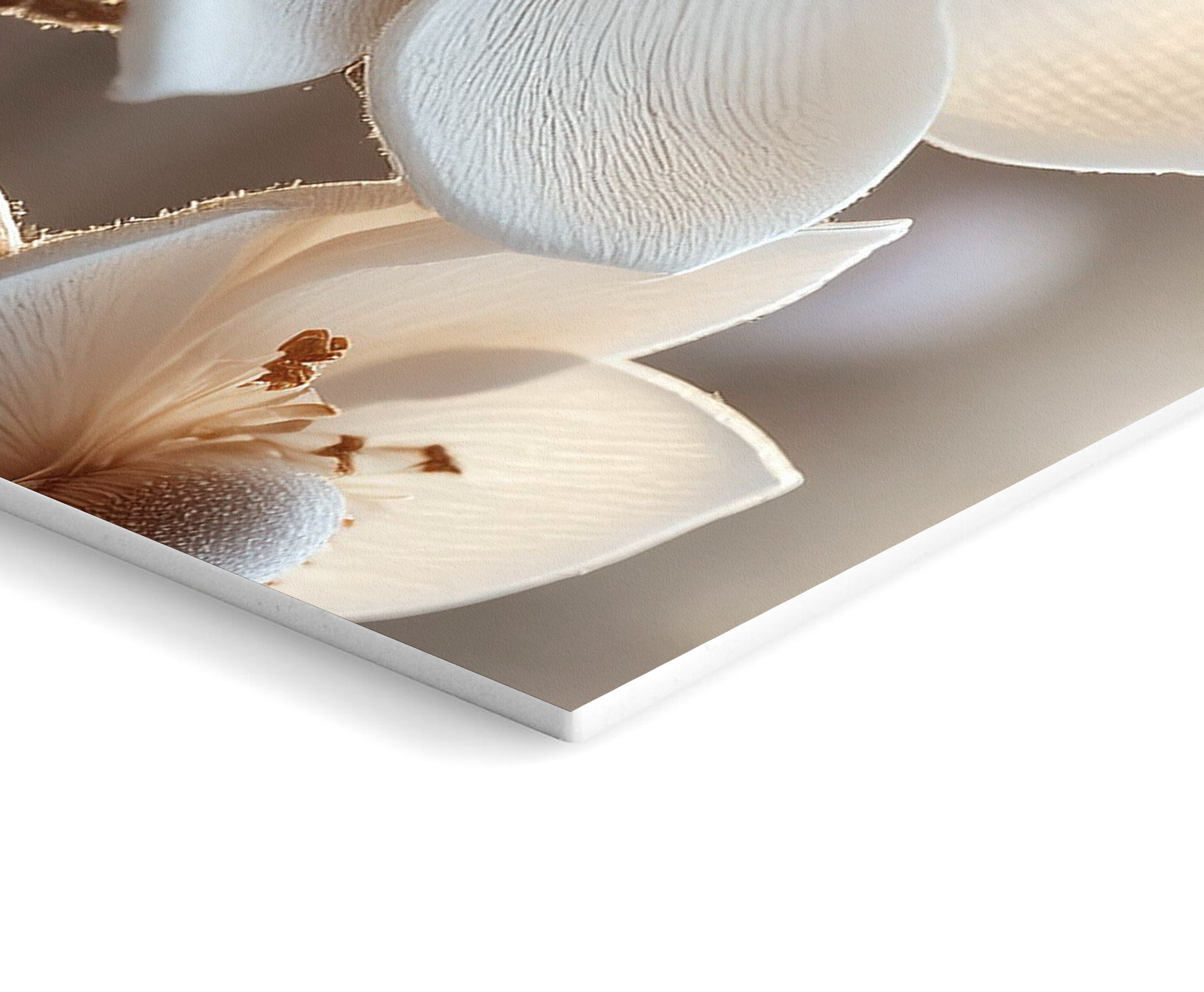 artissimo Mehrteilige Bilder Bilderset 3er-Set, Wandbilder-Set natur, Bilderwand Bilder beige weiß, Zen & Spa: Buddha