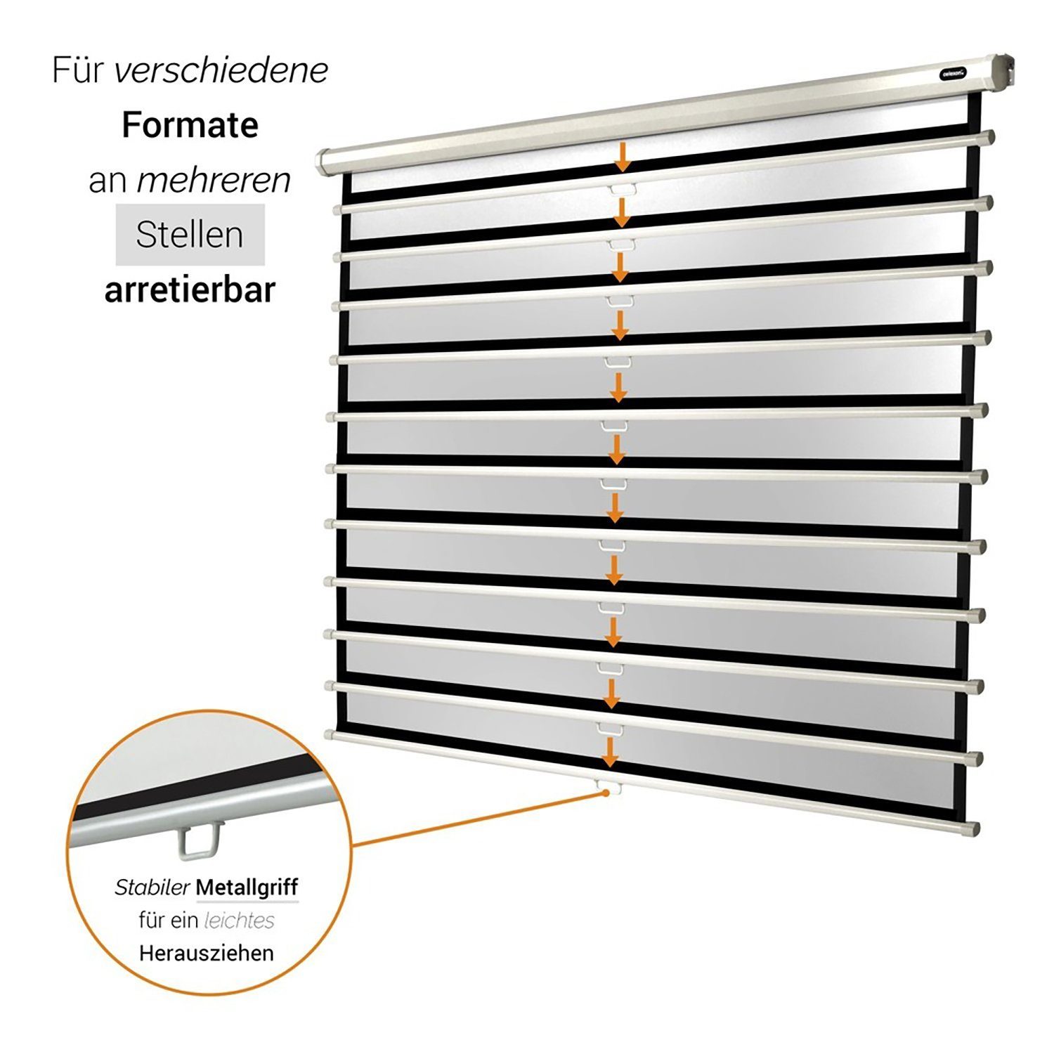 Celexon Economy Rolloleinwand (schwarze Rückseite)