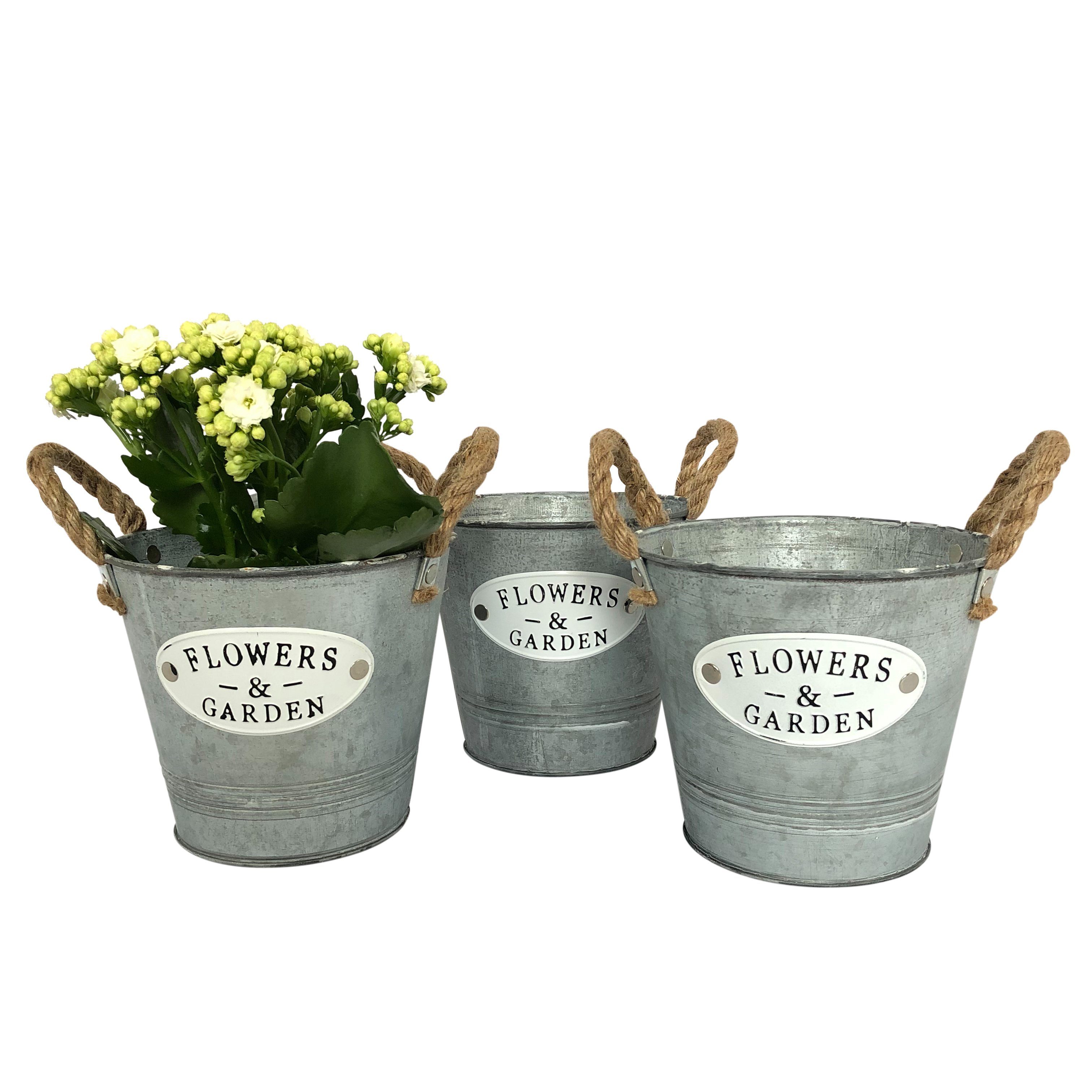 Blumentopf Mit Henkel