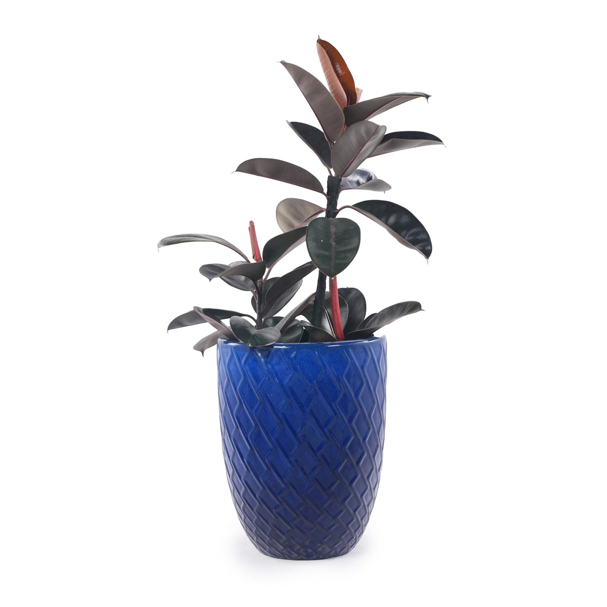 Blossom Blumentopf Großer Keramik Pflanztopf 54cm handgefertigter Blumentopf, Übertopf mit Rautenmuster Königsblau für Zimmerpflanzen und Garten