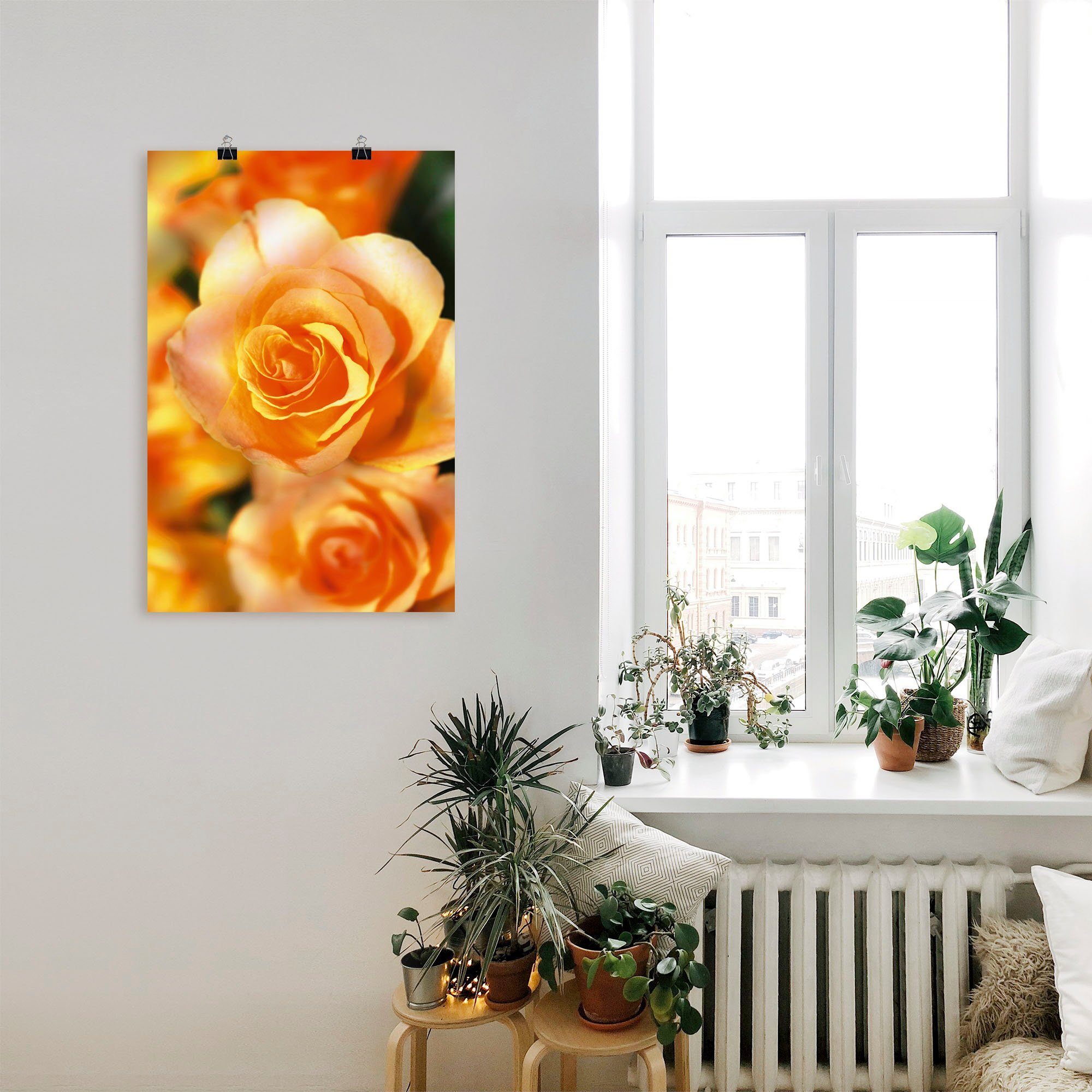 in Größen als Artland St), oder Alubild, Wandbild Sommerrosen, Leinwandbild, Wandaufkleber (1 Strahlende versch. Blumen Poster