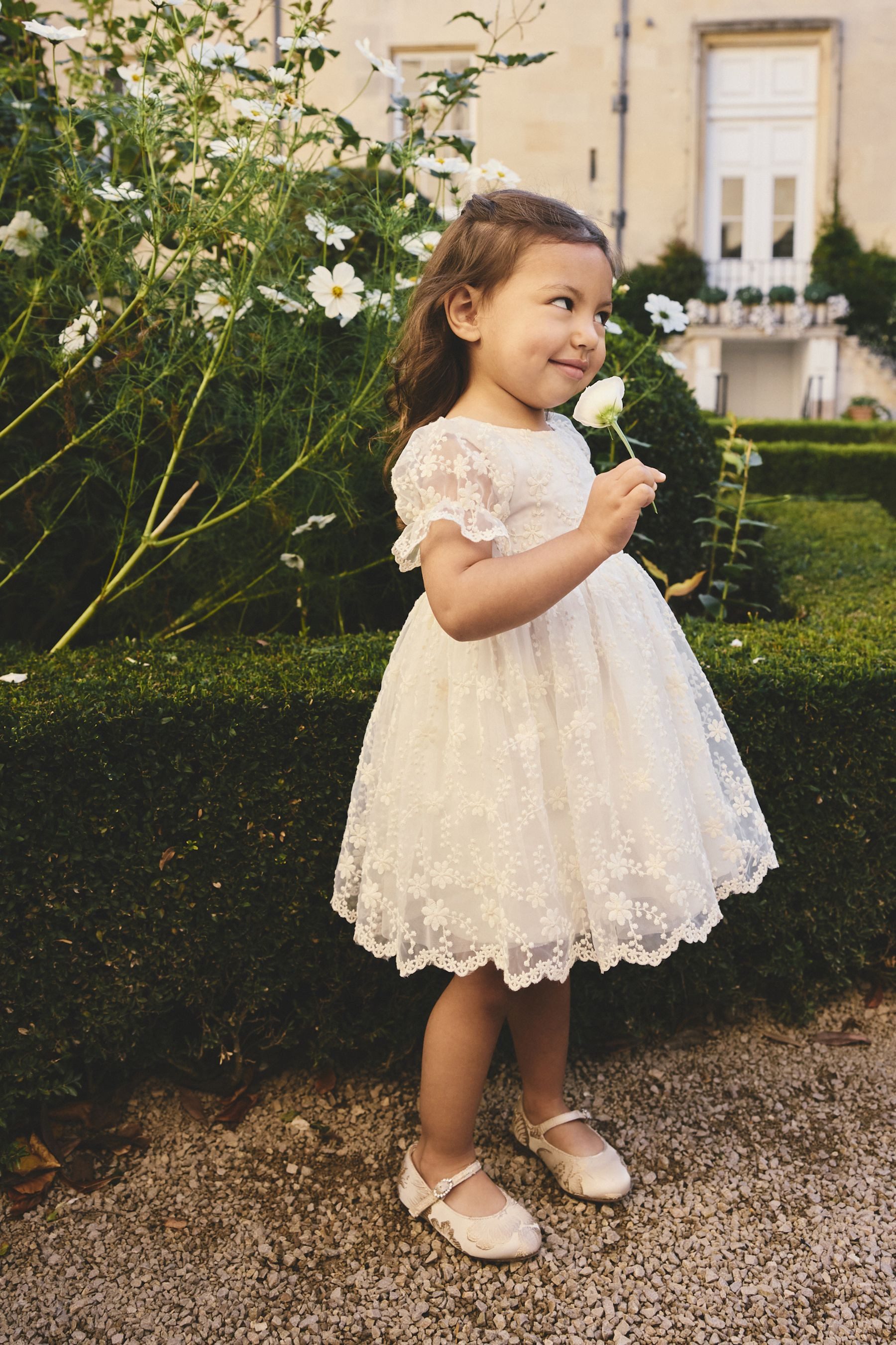 Next Partykleid Ballkleid mit Stickerei (1-tlg)