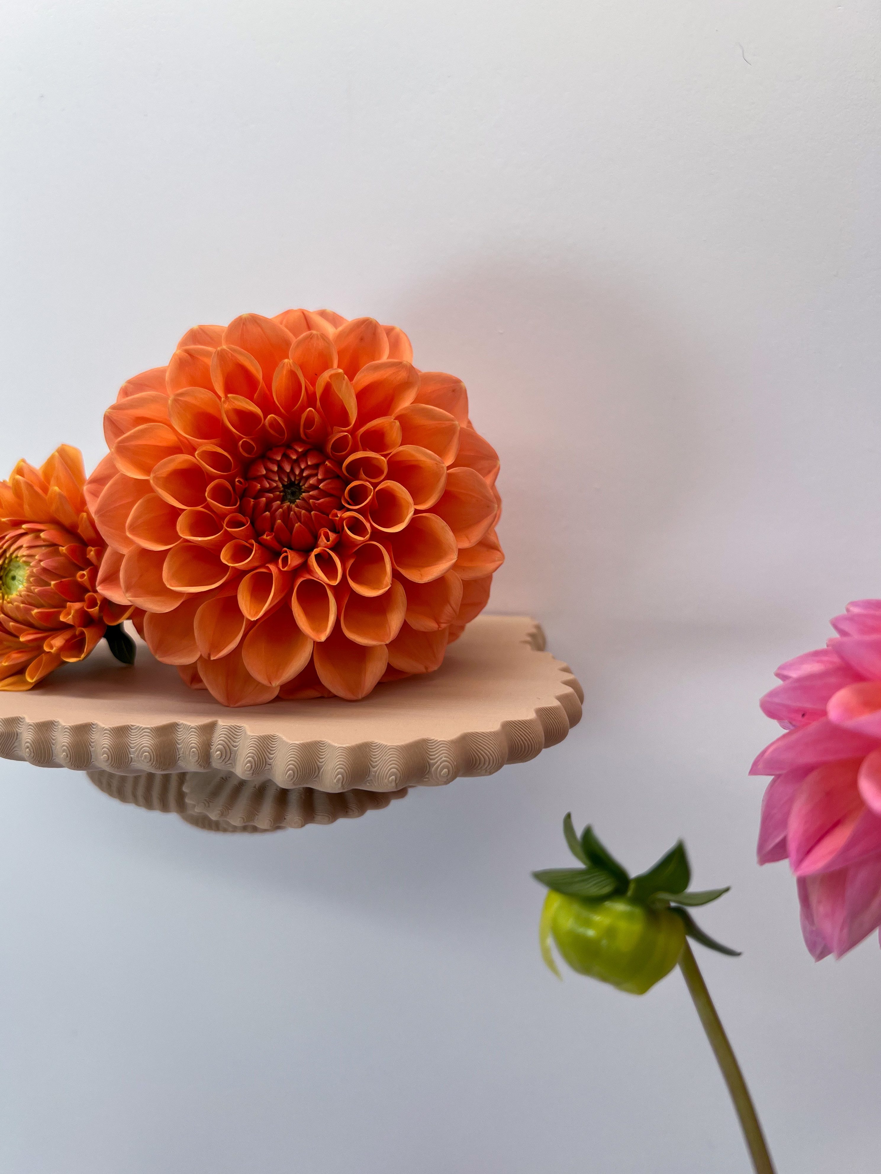 Roomberry Deko-Wandregal Schwebendes Beerenpilz Wandregal – günstig online kaufen