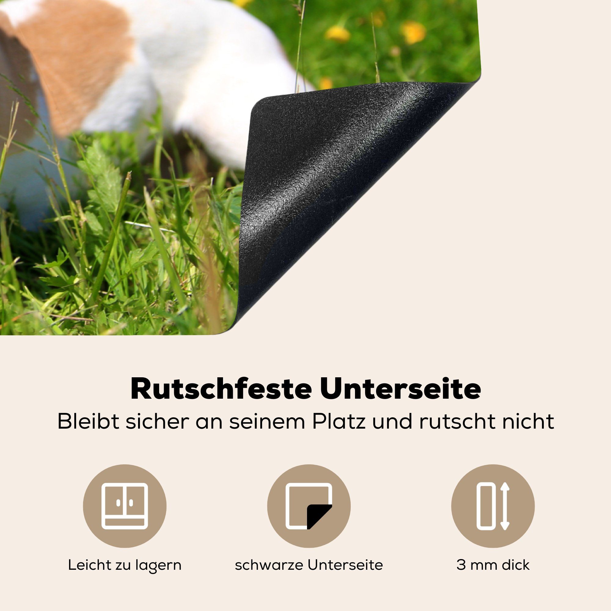 MuchoWow Herdblende-/Abdeckplatte Jack Russel Schutz 81x52 die Sonnenbrille, cm, Induktionskochfeld (1 Vinyl, Ceranfeldabdeckung küche, Hund tlg), für mit