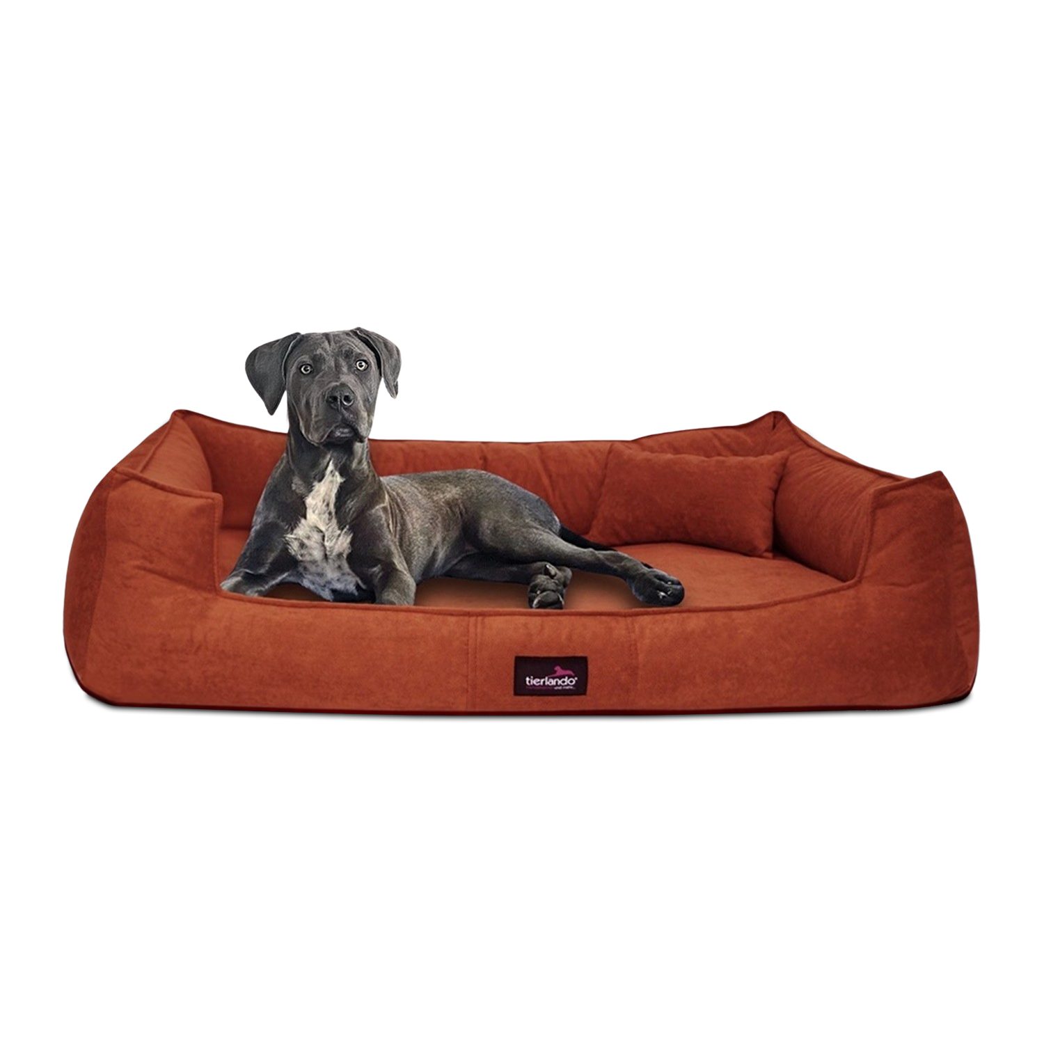 tierlando® Tierbett Orthopädisches Hundebett BRUCE VELOURS Waschbar Große Hunde, orthopdisch, waschbar, samtweich