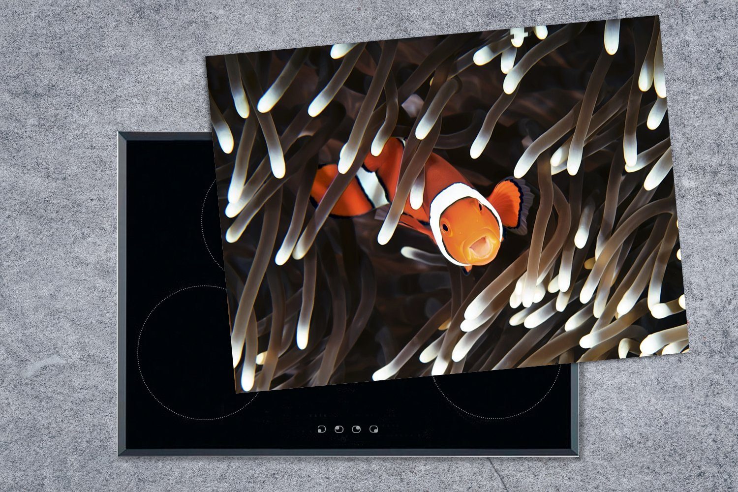 Fisch, 70x52 - cm, tlg), Meer MuchoWow Mobile - Koralle nutzbar, Vinyl, Herdblende-/Abdeckplatte Ceranfeldabdeckung Arbeitsfläche - (1 Clownfisch