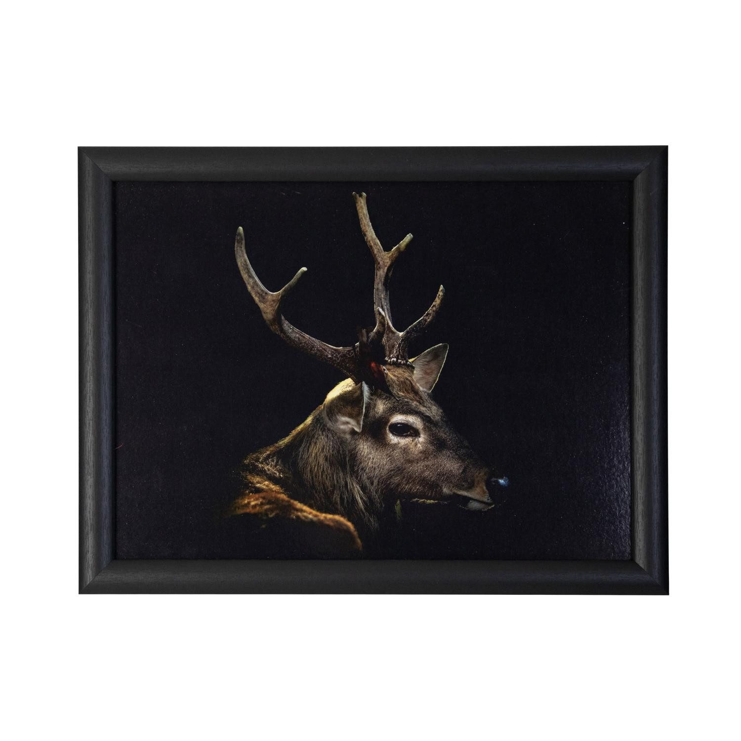 INNA-Glas Dekokissen Deko Kissen BJARKA, Hirsch Motiv, braun-schwarz, 43x33x7cm