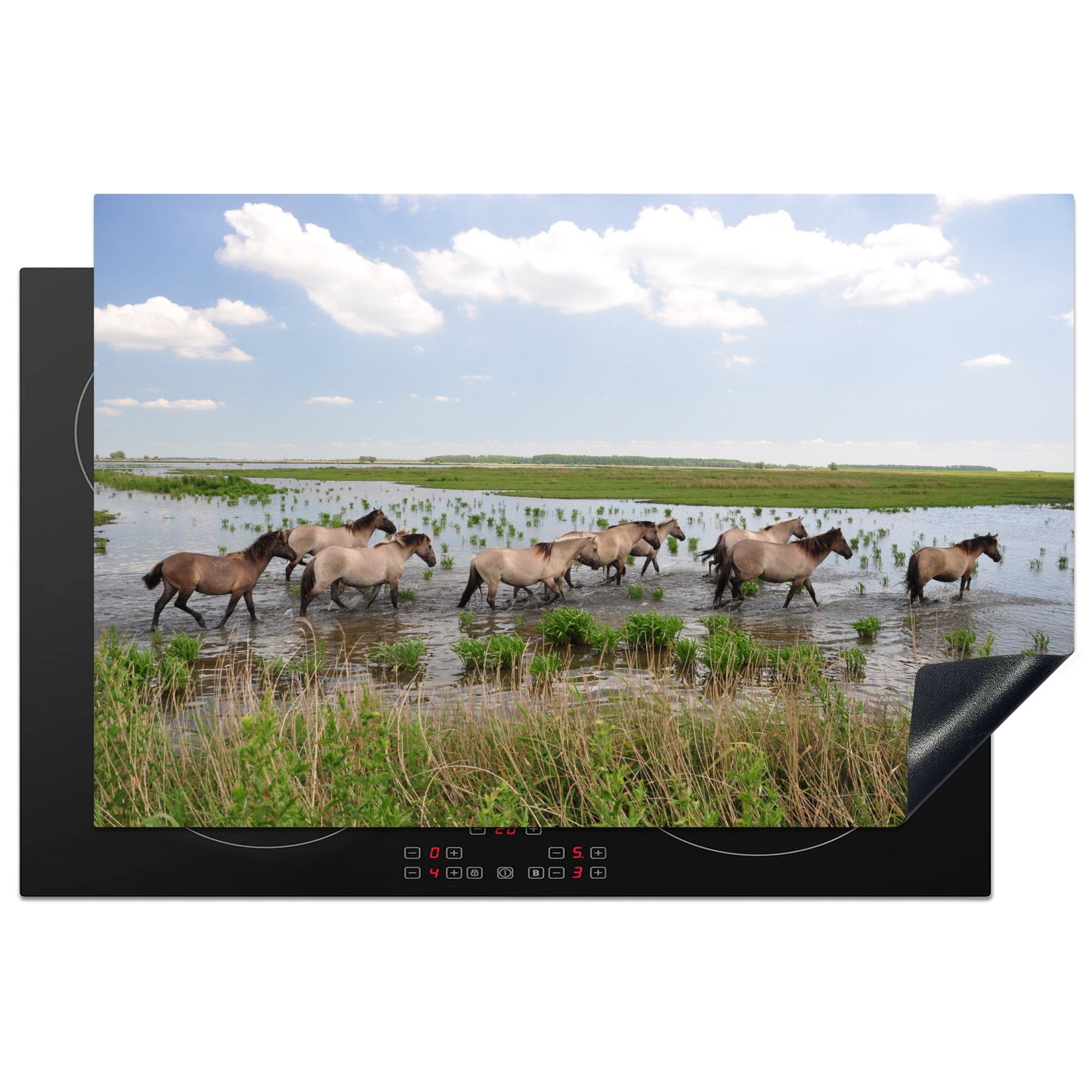 MuchoWow Herdblende-/Abdeckplatte Pferde - (1 81x52 tlg), die Vinyl, küche, Ceranfeldabdeckung Lauwersmeer, cm, Induktionskochfeld für - Wasser Schutz