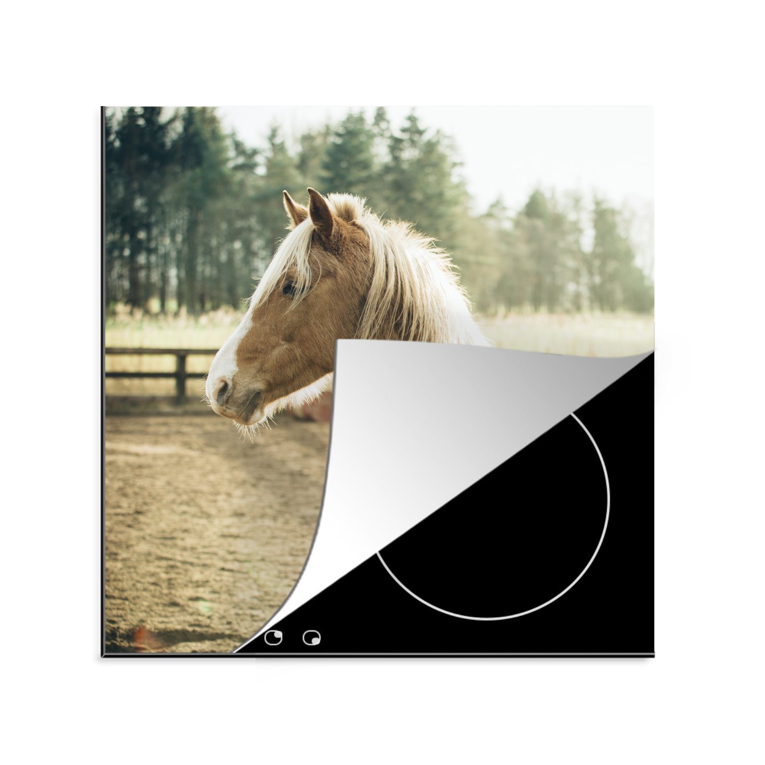 MuchoWow Herdblende-/Abdeckplatte Pferde - Sandkasten - Licht, Vinyl, (1 tlg), 78x78 cm, Ceranfeldabdeckung, Arbeitsplatte für küche