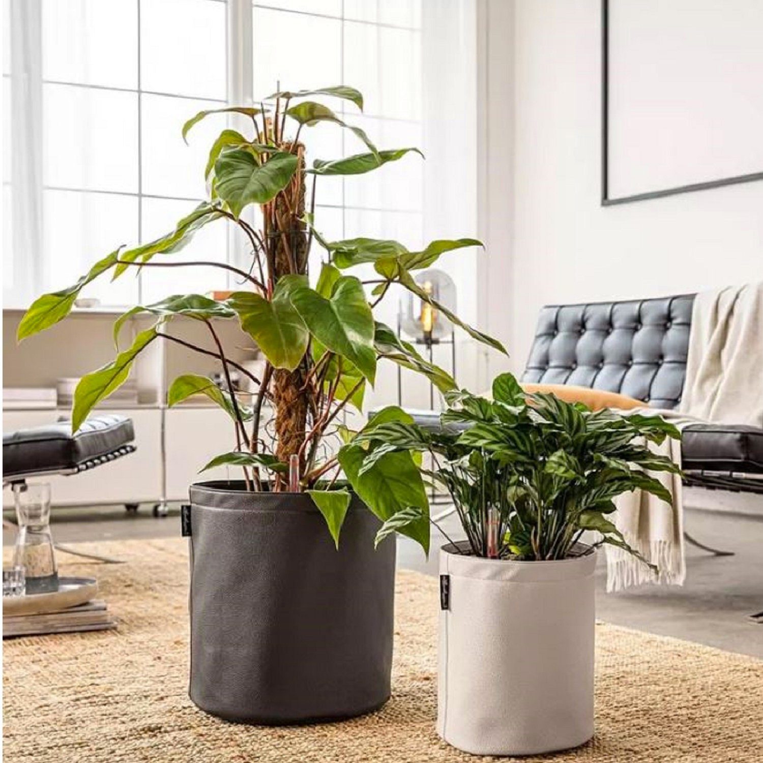 Lechuza® Blumentopf Pflanztopf Trendcover 23 creme beige (Komplettset)