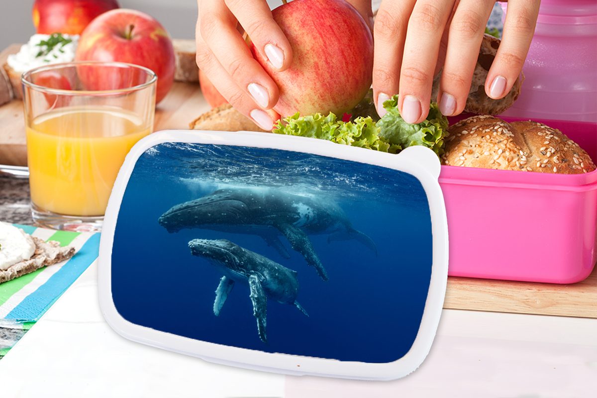 MuchoWow Snackbox, Kunststoff, Kinder, (2-tlg), Lunchbox Erwachsene, Mädchen, Brotdose seinem Kunststoff rosa Brotbox Kalb, mit für Buckelwal