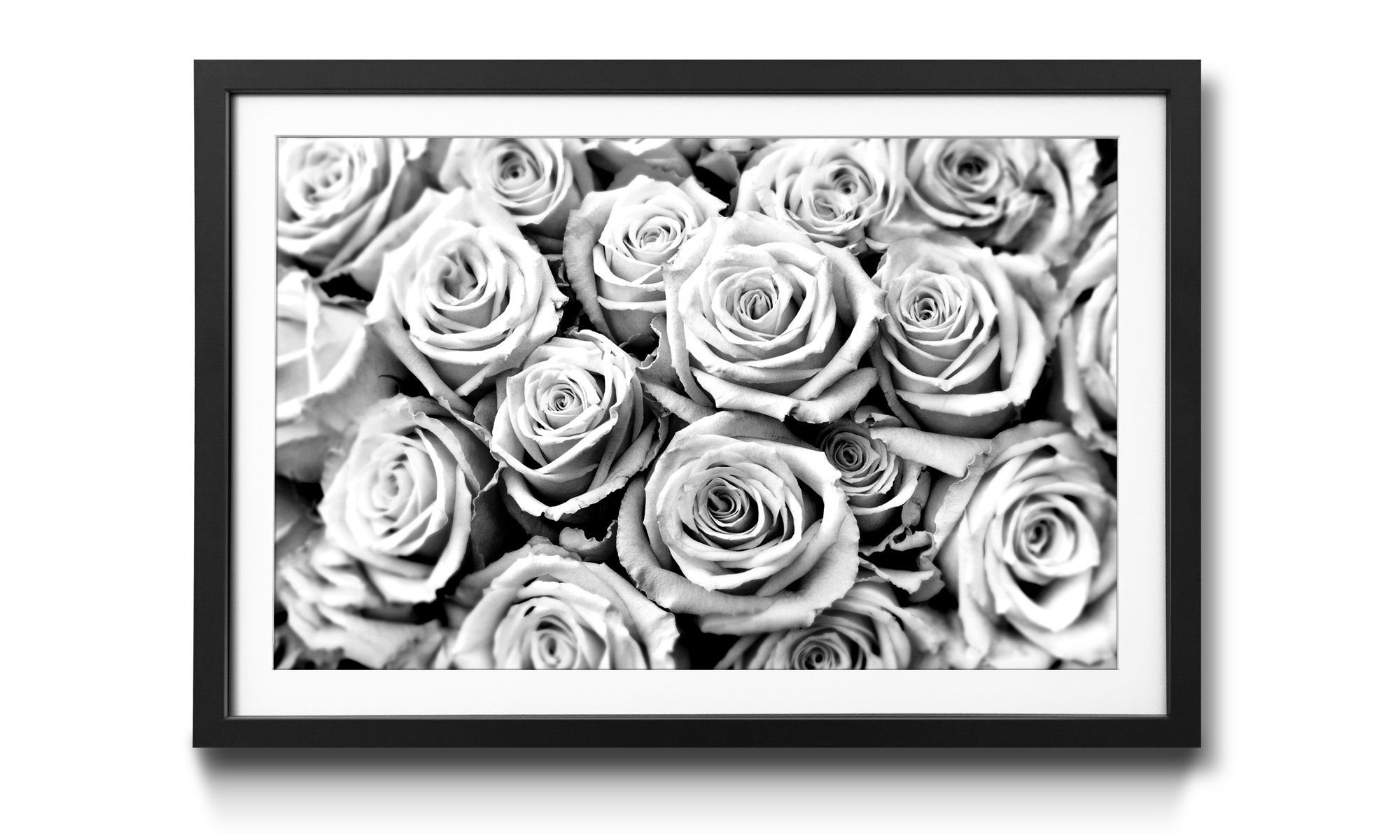 WandbilderXXL Kunstdruck Creamy Roses, Blumen, Wandbild, in 4 Größen erhältlich