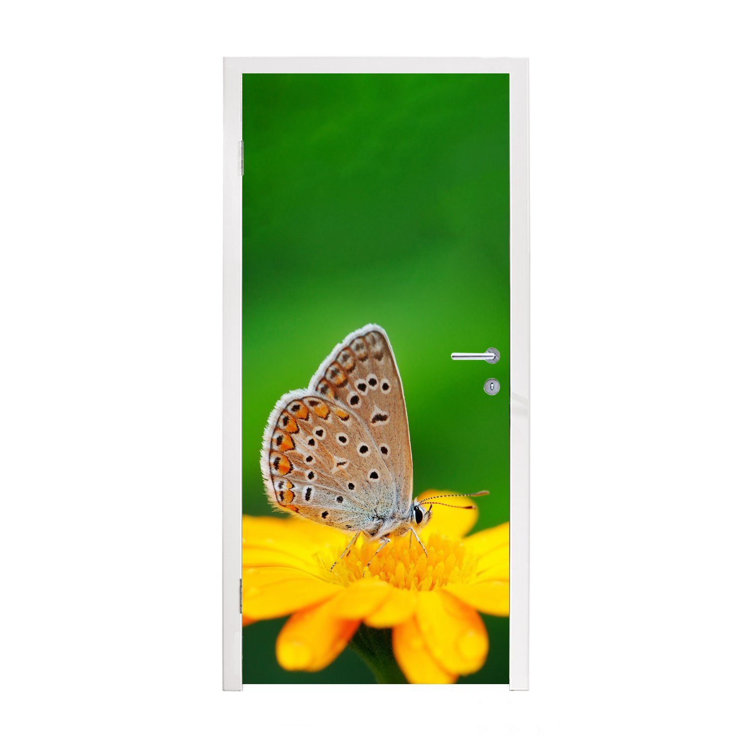 Matt, Blumen MuchoWow für bedruckt, - - Türaufkleber, (1 75x205 Fototapete Türtapete Natur, Tür, St), Schmetterling cm