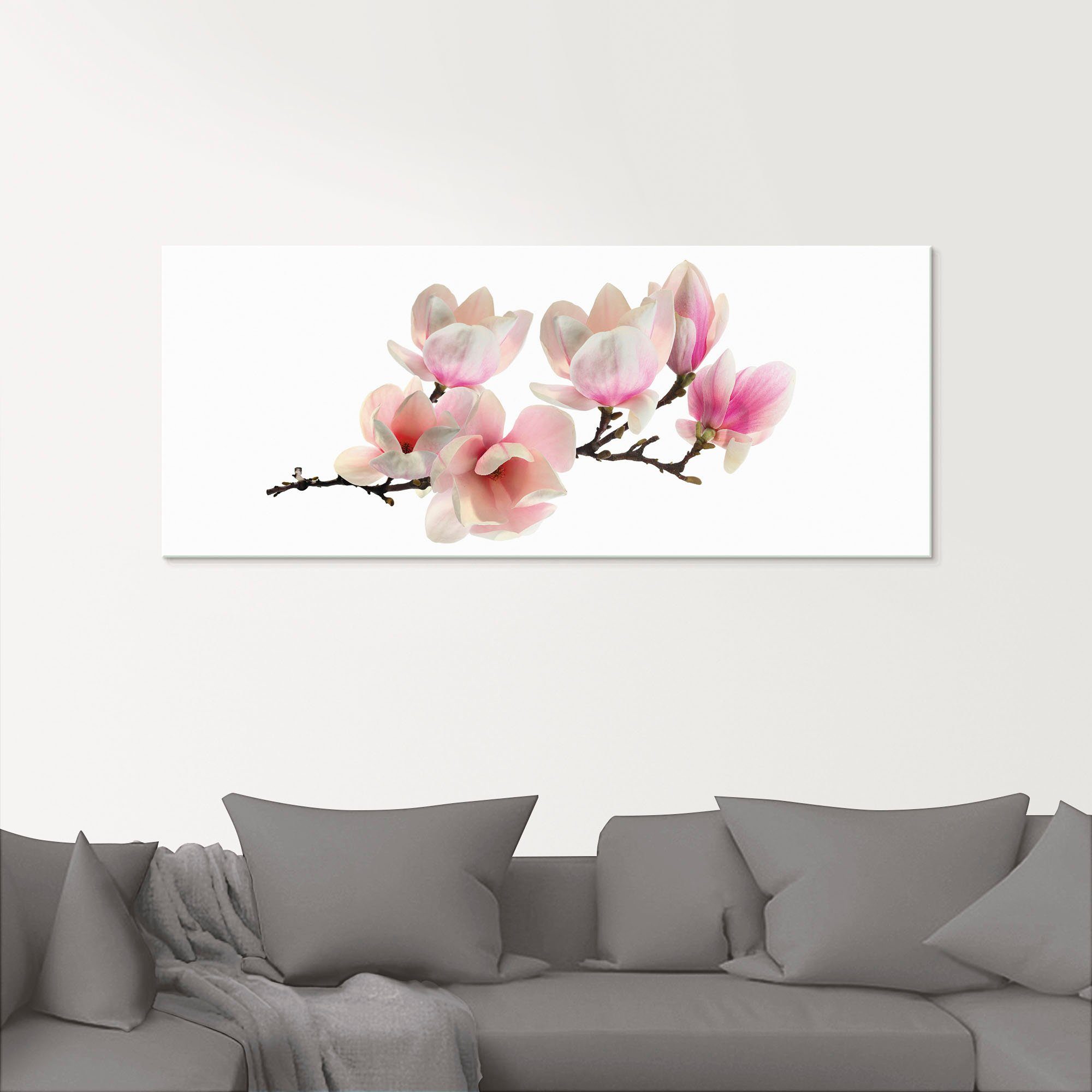 Artland Glasbild Magnolie, Blumen (1 St), in verschiedenen Größen