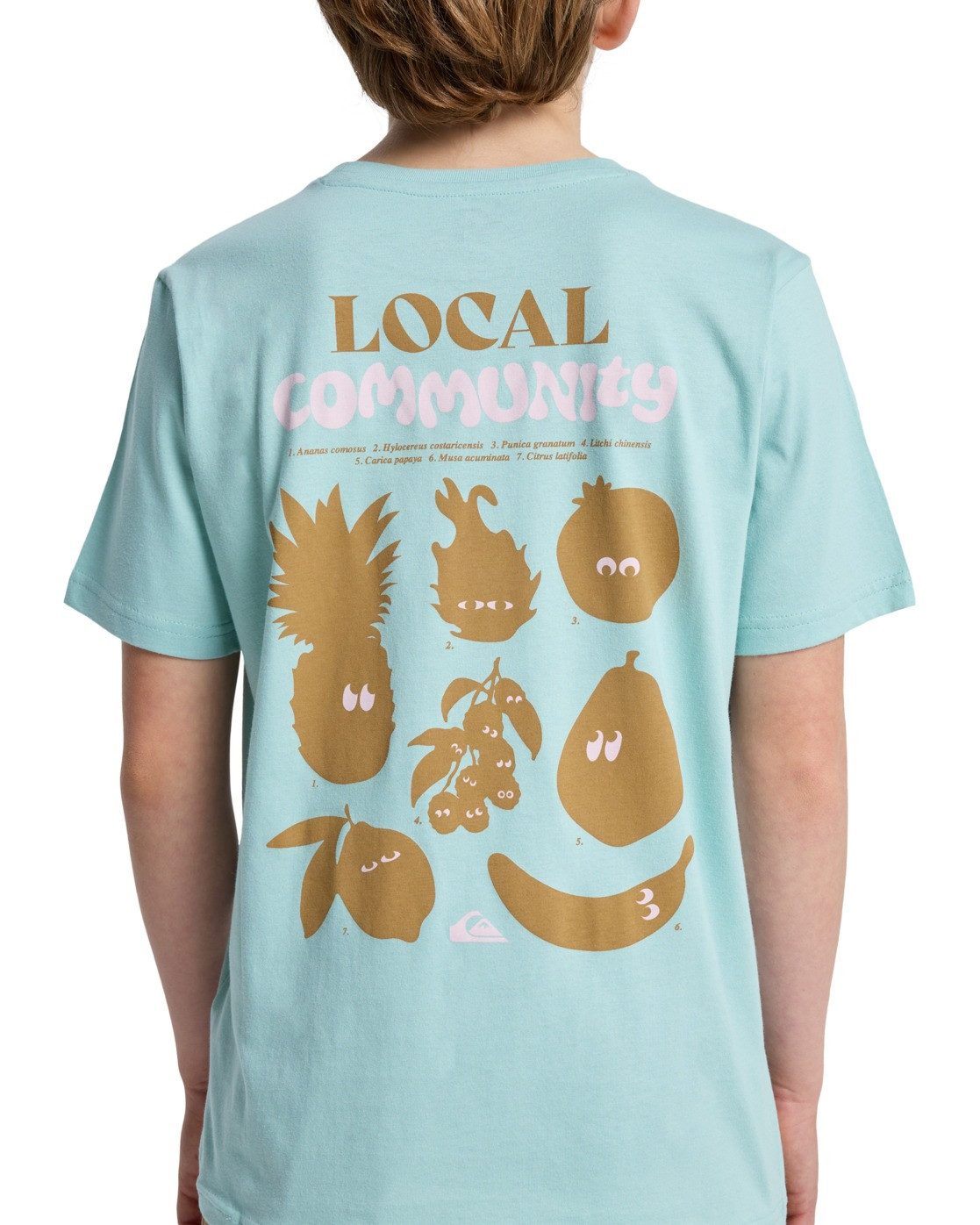 Quiksilver T-Shirt Fruits Tide