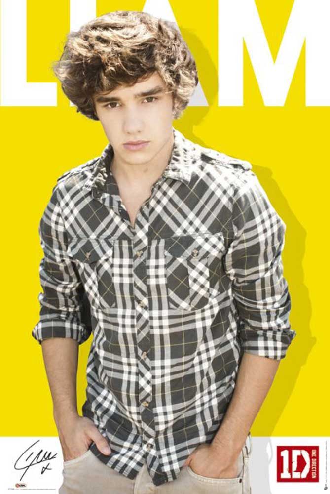 Poster One Direction - Poster - Liam Colour