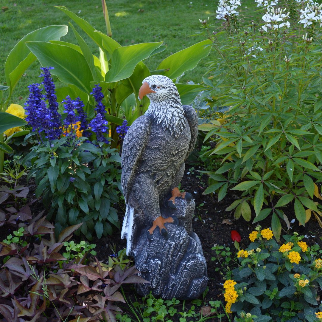 gartendekoparadies.de Gartenfigur Mächtiger Adler, Steinadler, Steinfigur, H. 50 cm, 14 kg (Mehrfarbig), Frostsicher