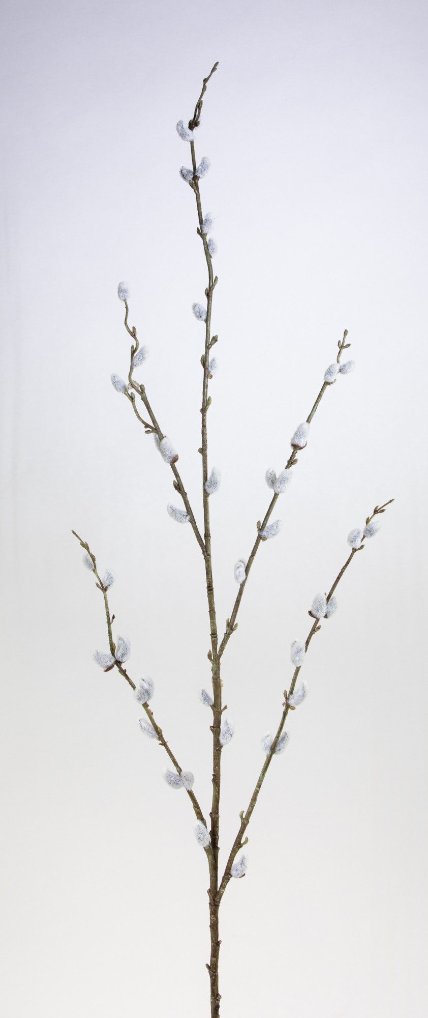 Kunstzweig Weidenkätzchenzweig 115cm FI künstliche Palmkätzchen günstig online kaufen