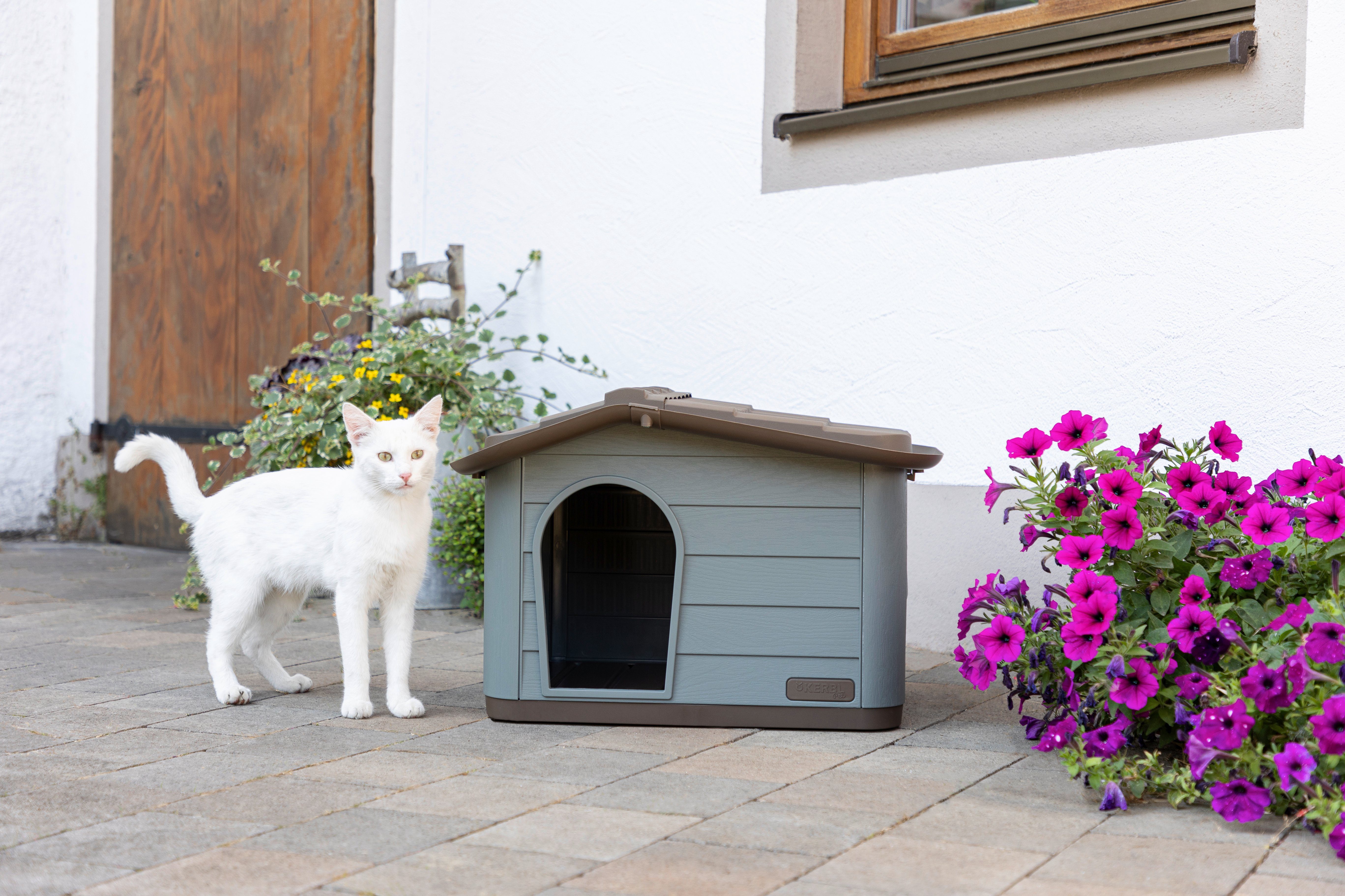 Tierhaus Kerbl Katzenhaus Paola Eco (auch geeignet fŸr kleine Hunde, 60 x 51 x