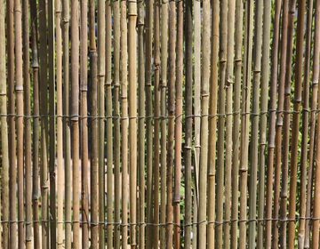Sichtschutzbefestigung BAMBUSMATTE 2m x 1,5m Sichtschutzmatte Zaun, HaGa, (Breite eines einzelnen Bambusstabes:ca. 1,5 cm, aus hochwertigen), Bambus-Sichtschutzmatte, Bambus, Windschutz, Sonnenschutz