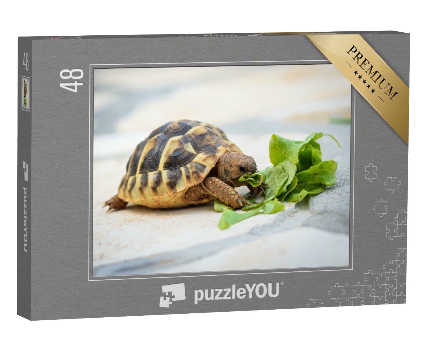 puzzleYOU Puzzle Haustierschildkröte bei ihrer Salat-Mahlzeit, 48 Puzzleteile, puzzleYOU-Kollektionen Meeresschildkröten, Fische & Wassertiere
