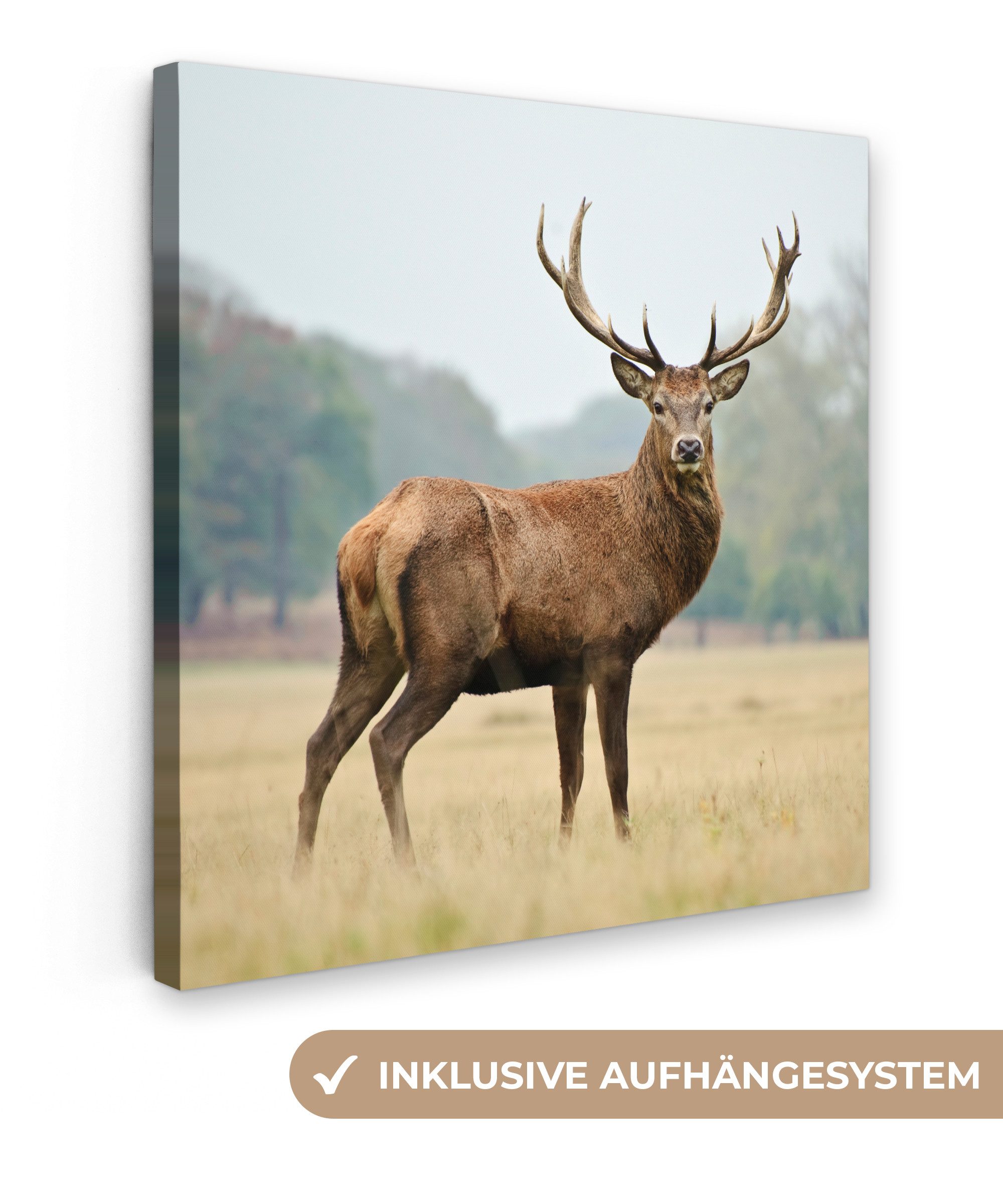 OneMillionCanvasses® Leinwandbild Hirsche - Tiere - günstig online kaufen