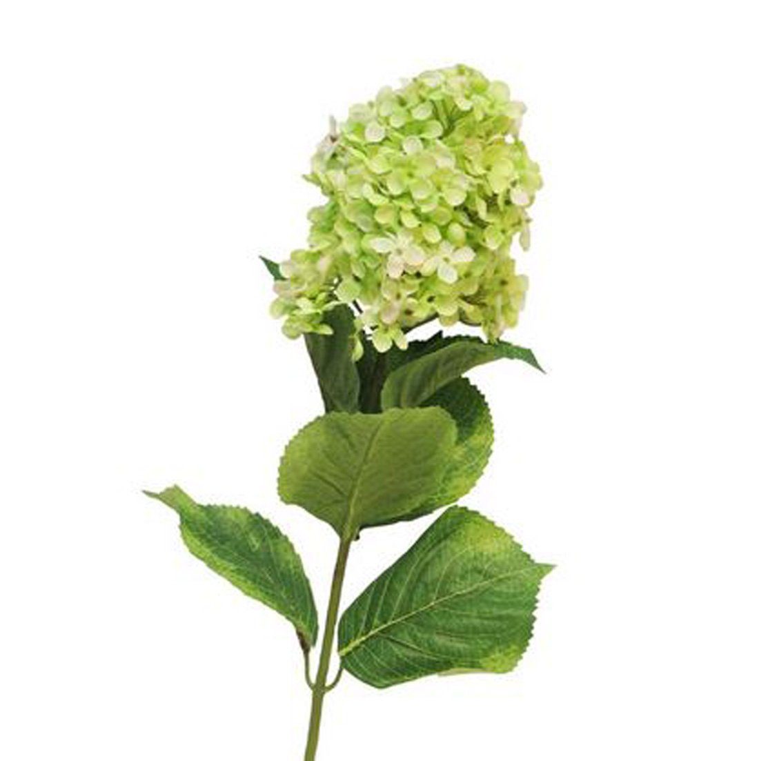 Kunstblume Wunderschöne Kunstblume Rispenhortensie Hydrangea Hortensie grün L85cm, Annimuck