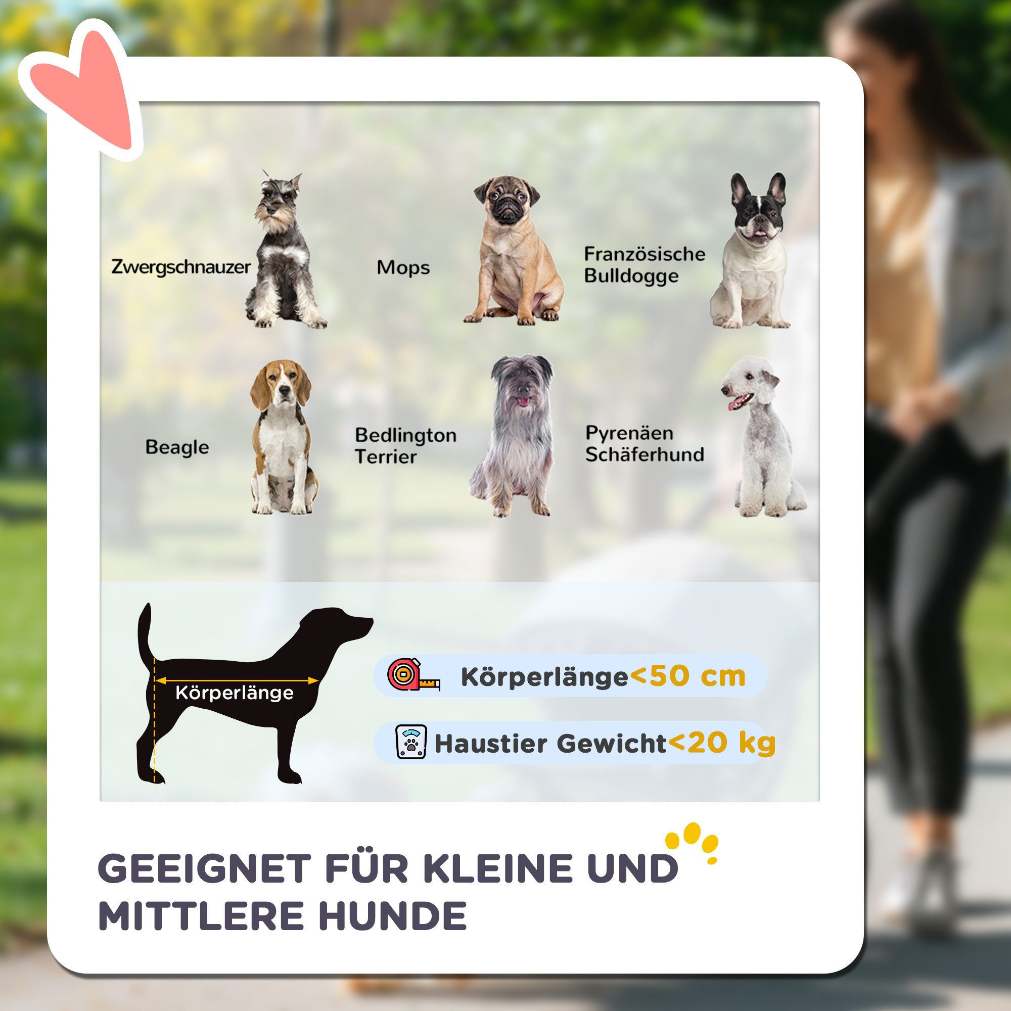 PawHut Hundebuggy Hundewagen, Katzenbuggy, mit Seitentaschen, Netzfenster, (Hundetrolley, 1-tlg), für kleine und mittelgroße Hunde bis 20 kg, Oxford-Gewebe, Gra – Bild 4 von 5